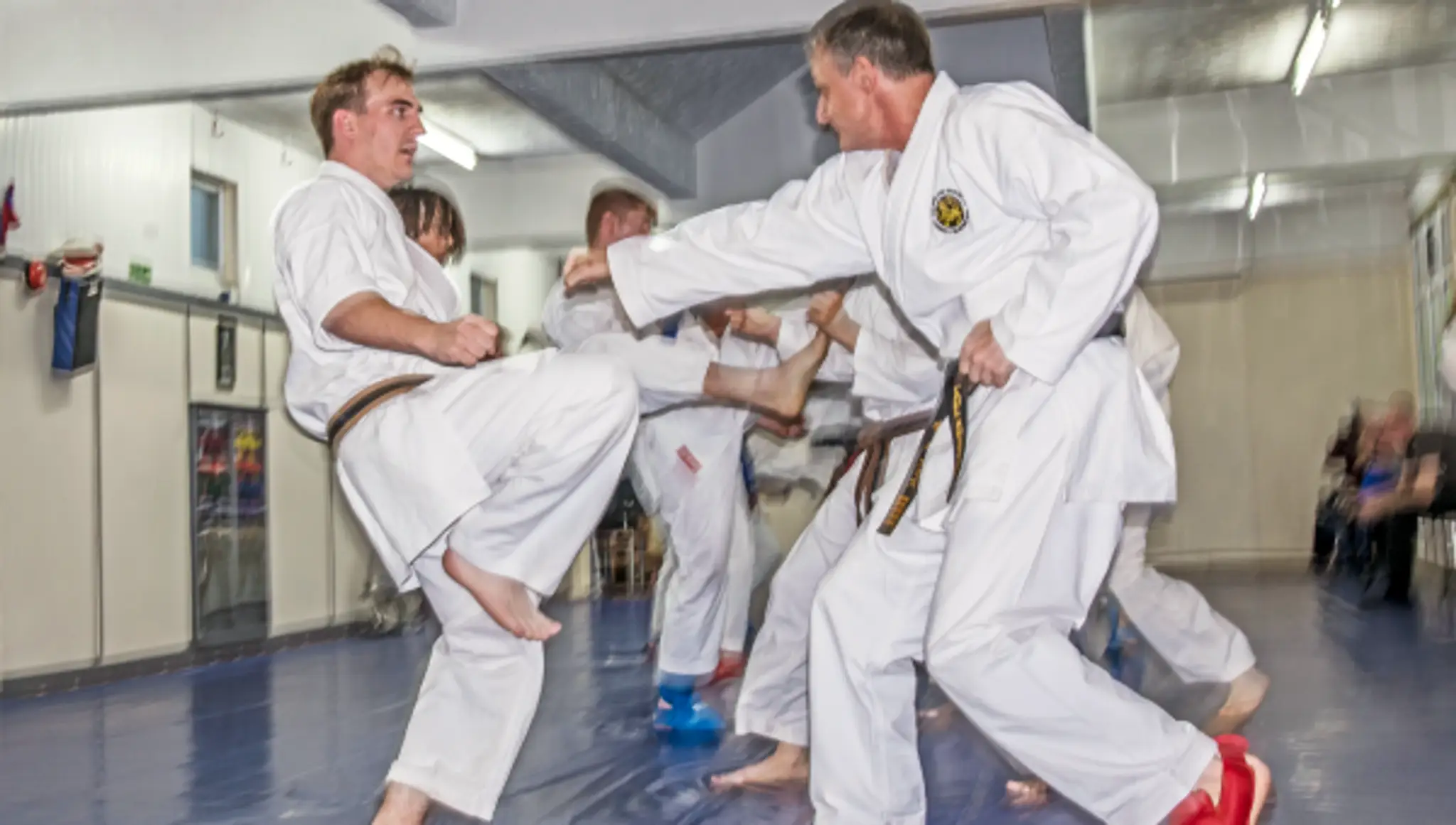 Stafford Martial Arts Academy