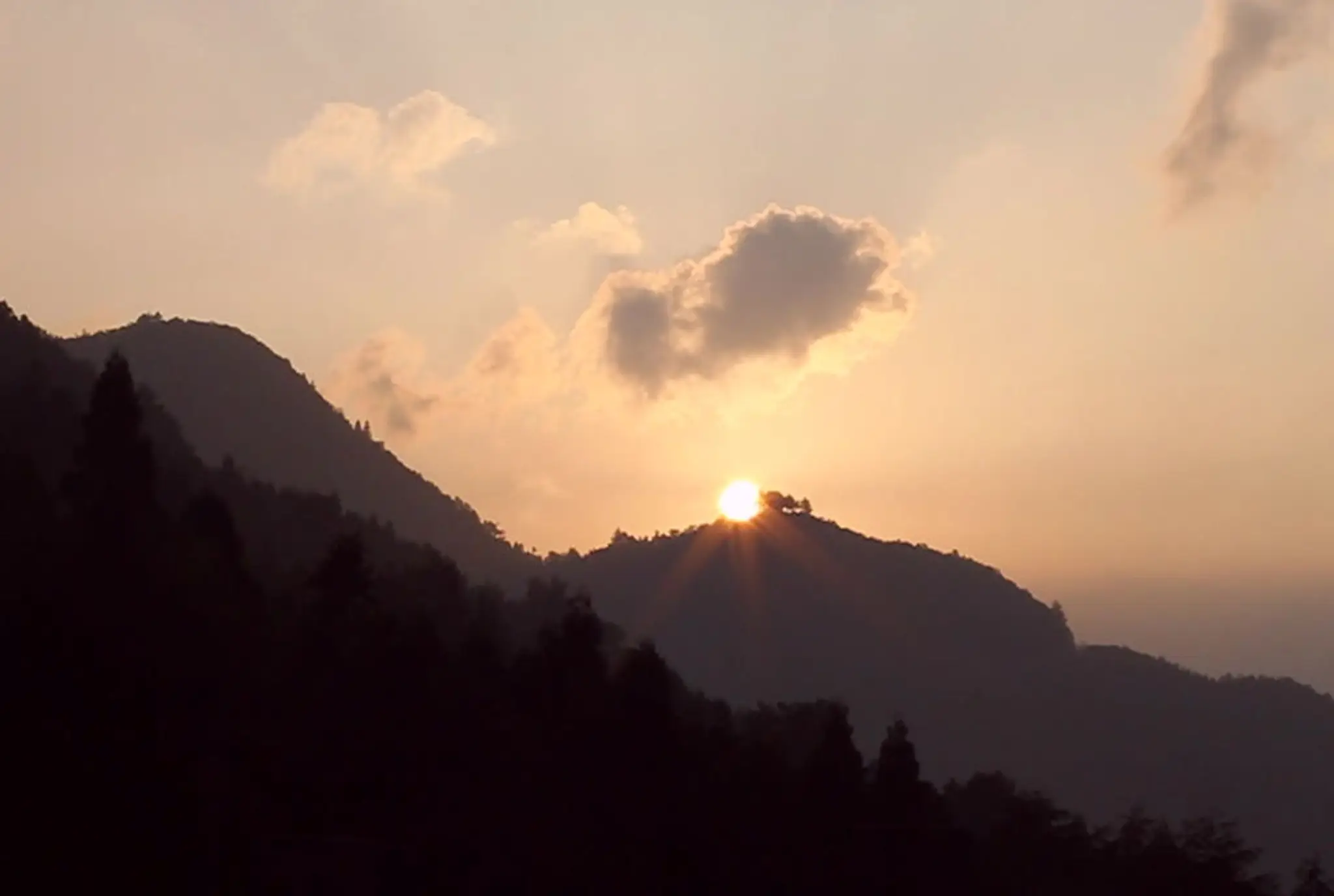 Ram River Tours - Ram Rides