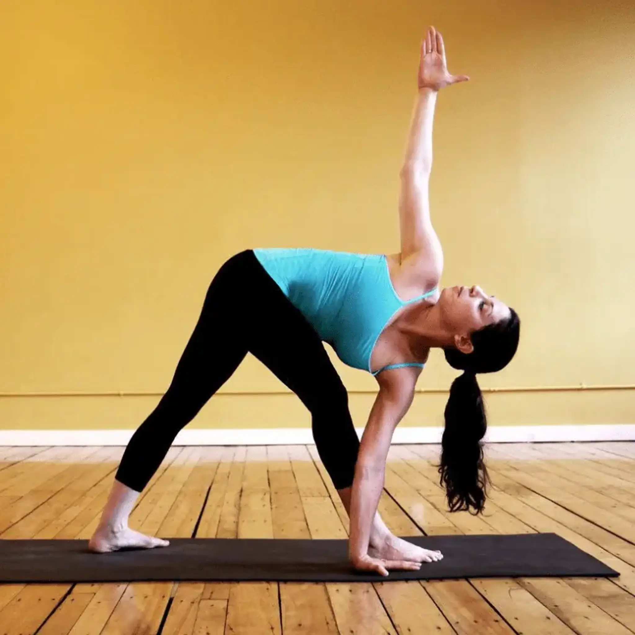 Ancient Vedic Yoga