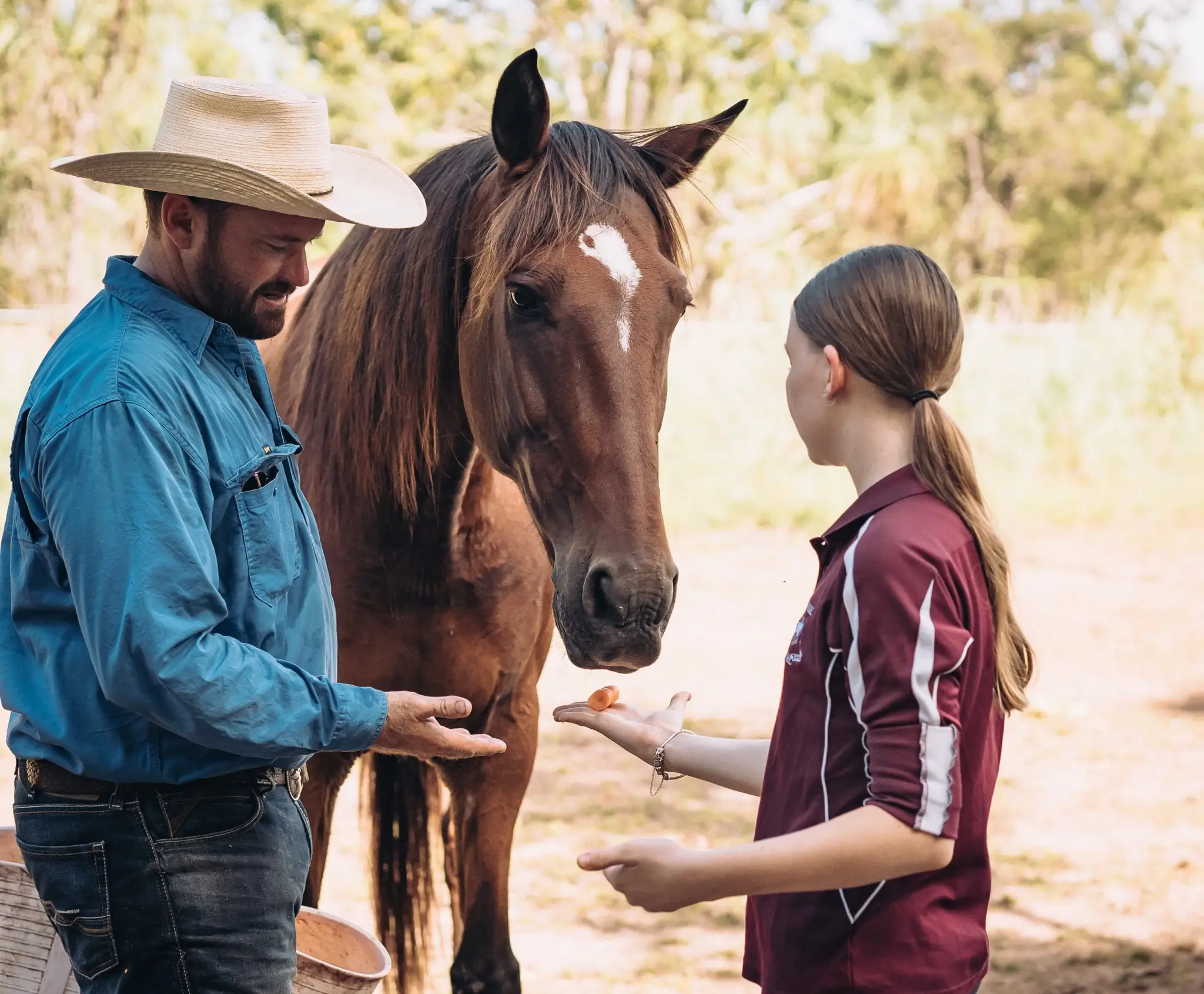 Yarraman Territory