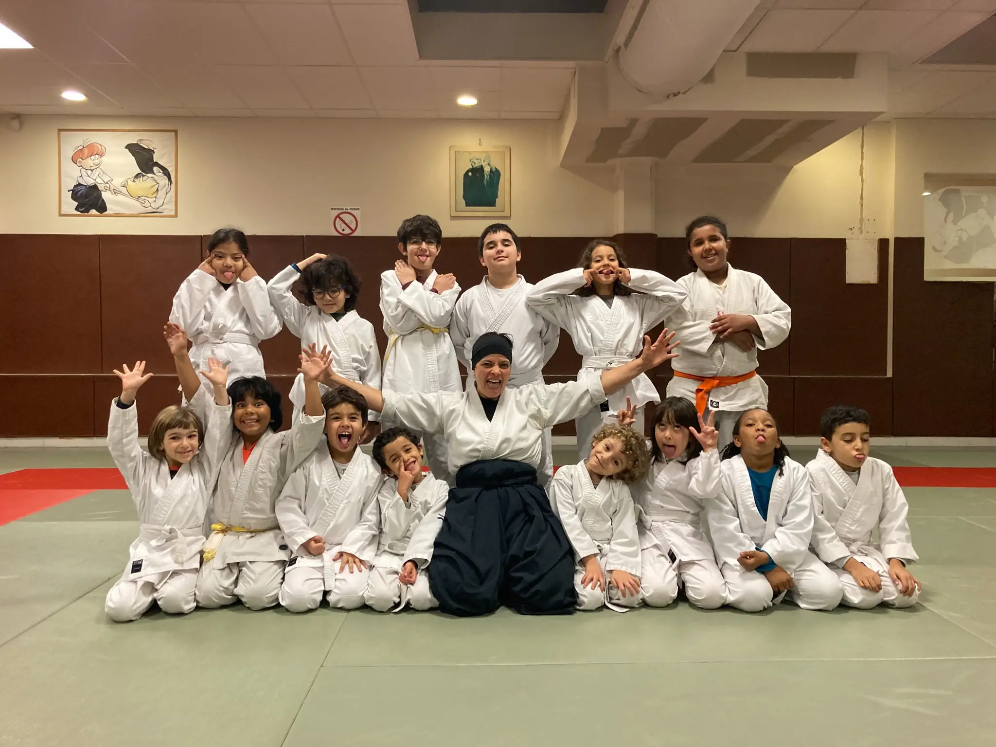 Aikido Stains