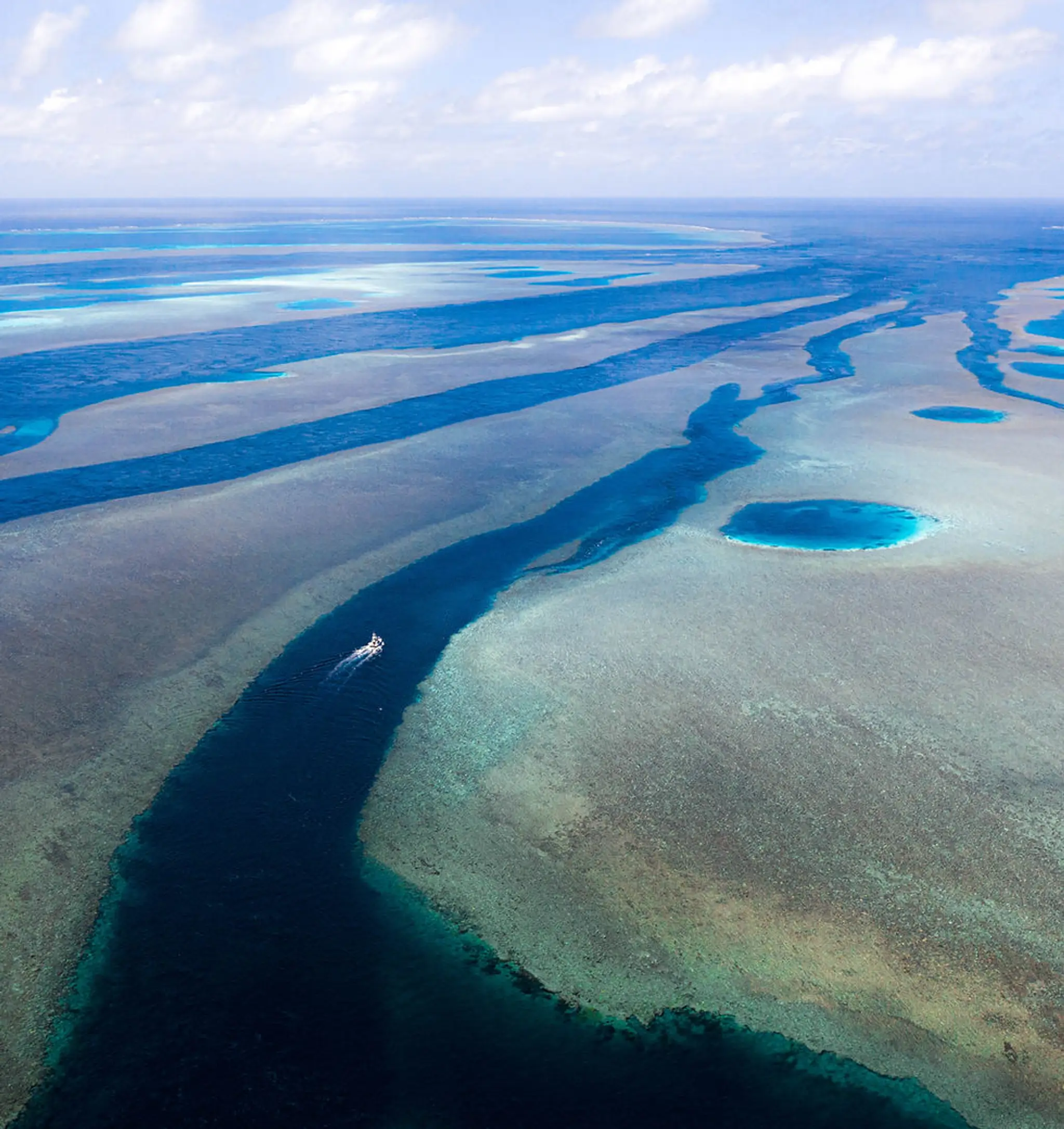 Topwater sportfishing charters