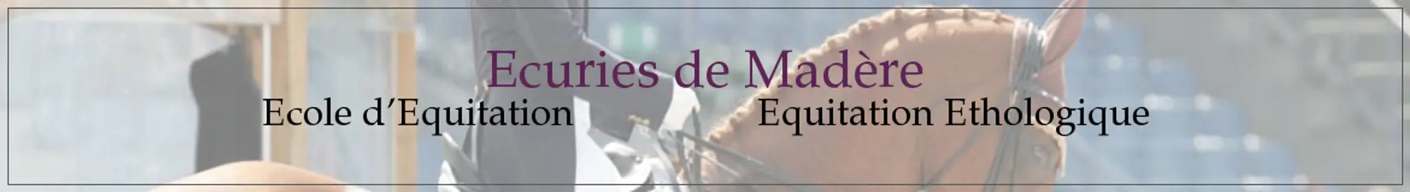 Ecurie De Madère