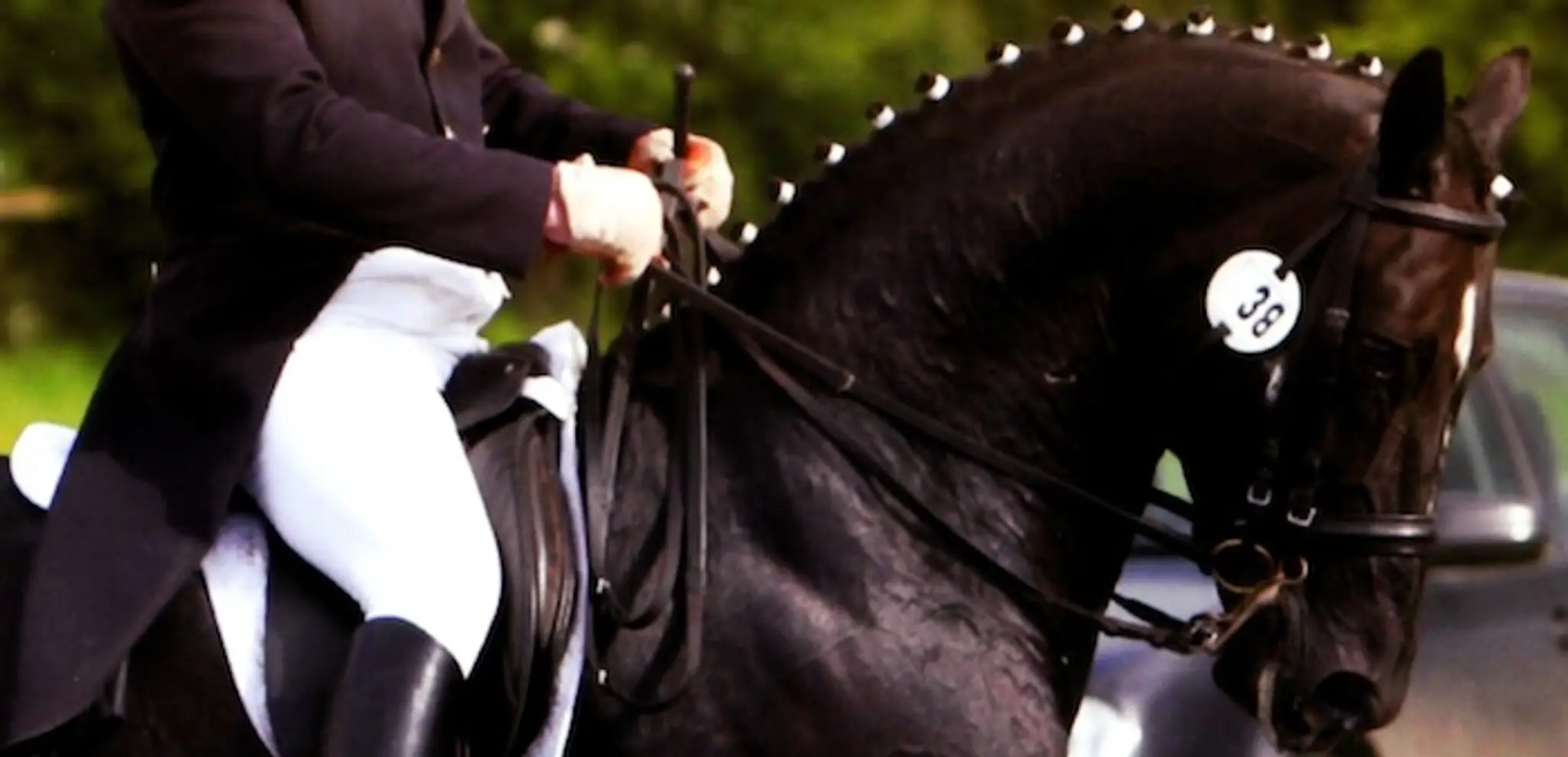 Sheepcote Equestrian