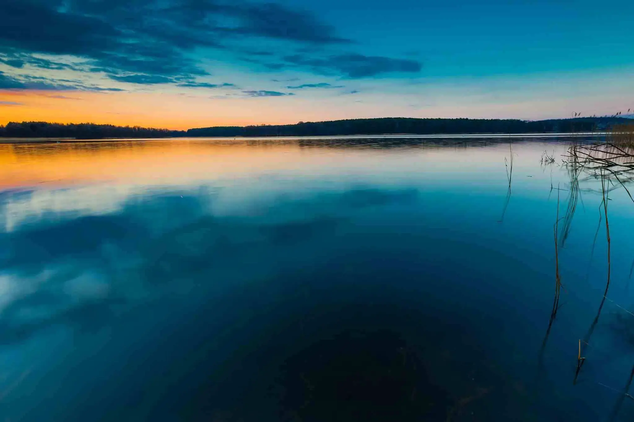 Cold Water Divers Inc.