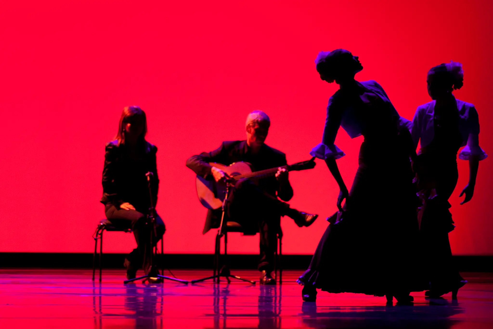 Flamenco Dance Areti