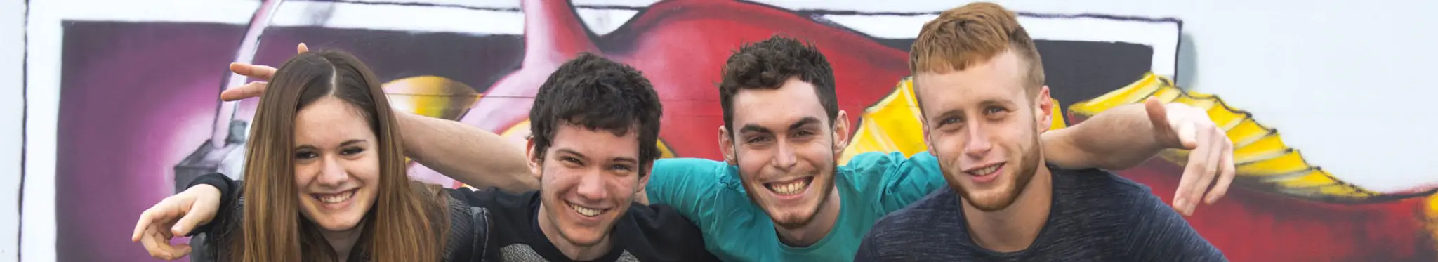 Skatepark de La Chapelle sur Erdre