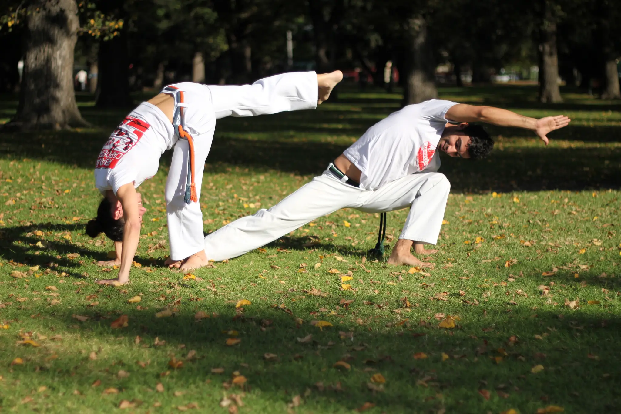 Abad - Capoeira | Brunswick