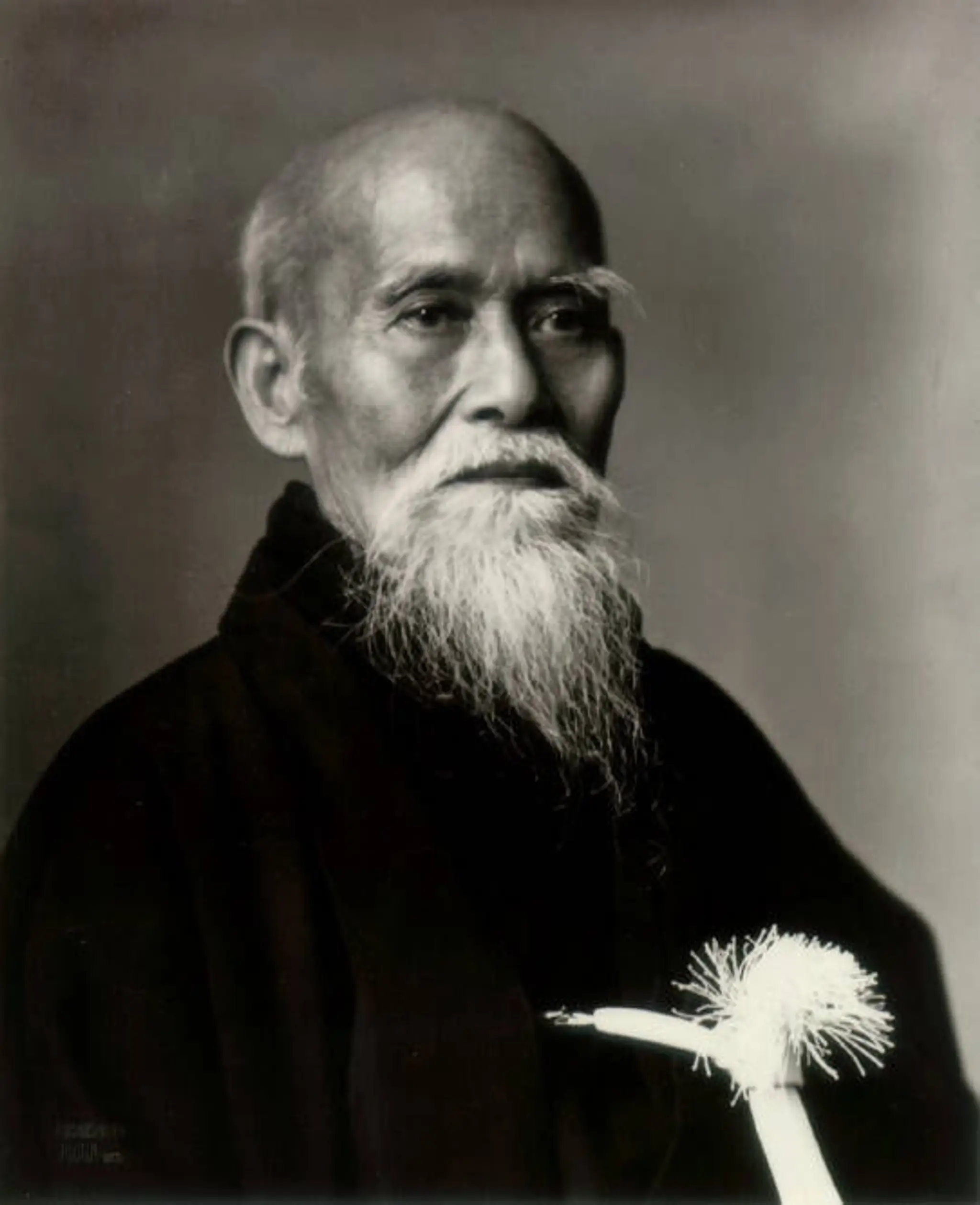 Sahin Aikido