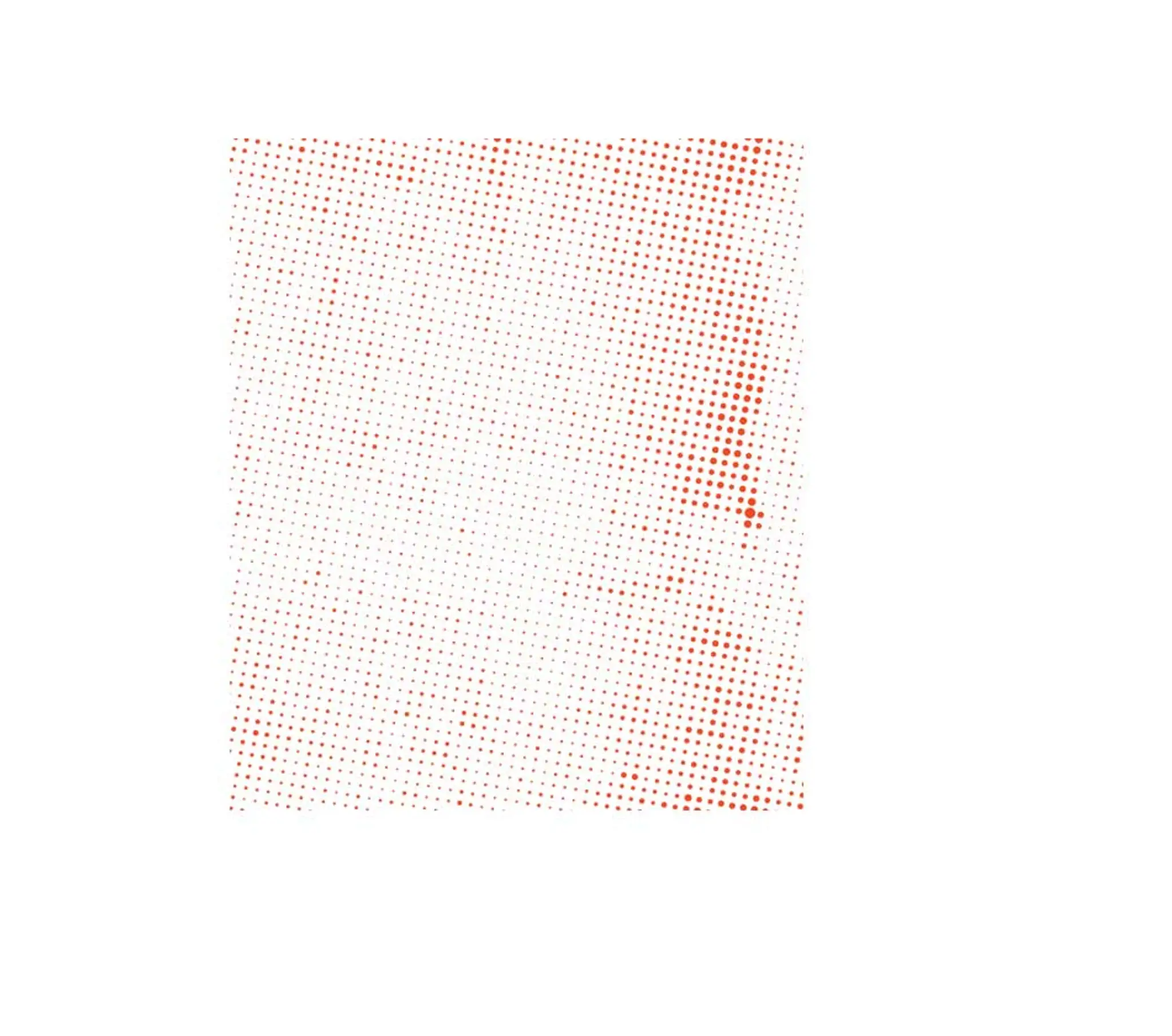 Tedd's Health And Fitness Gym