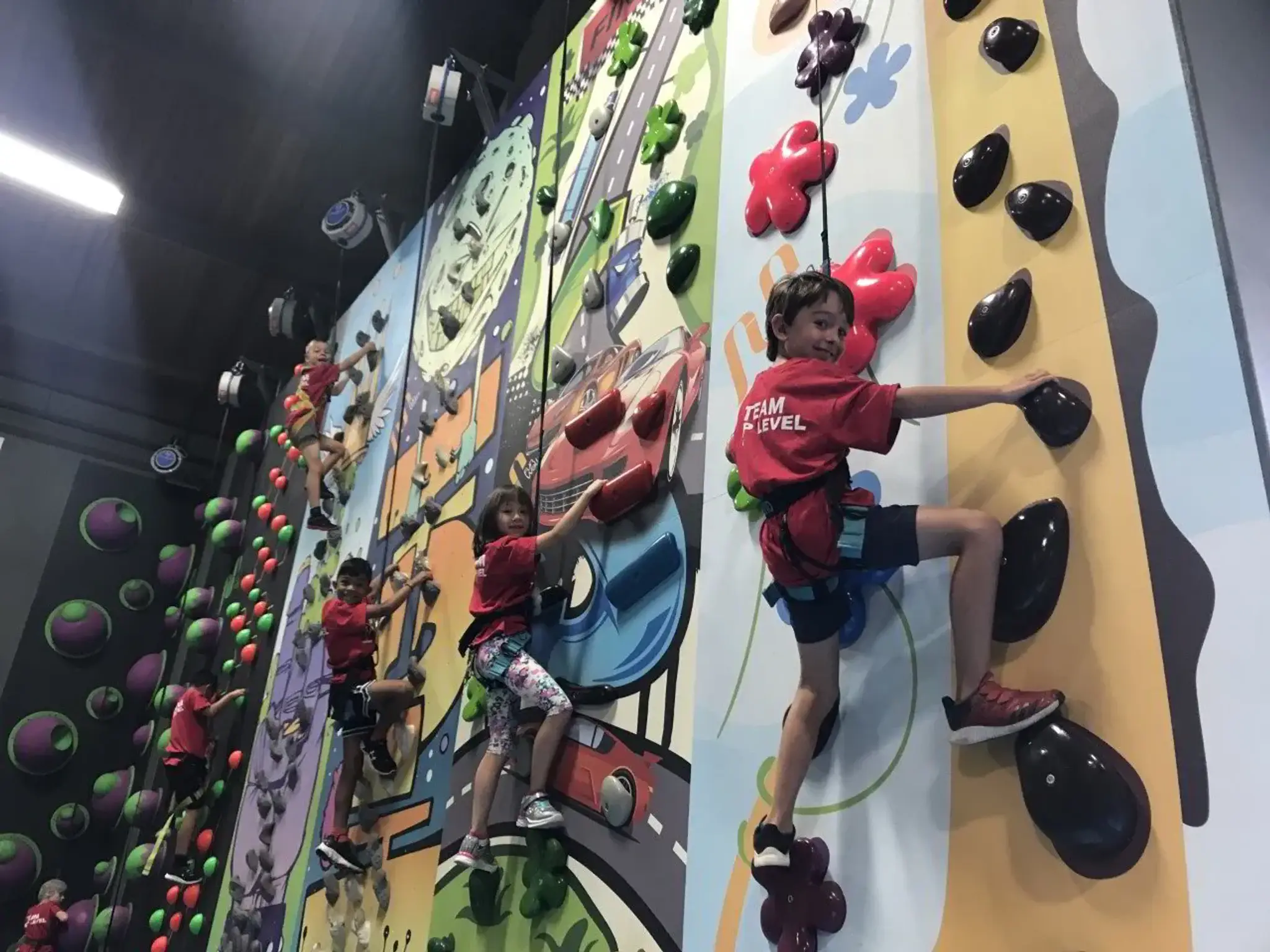 Top Level Taekwondo & Martial Arts Academy Bronte