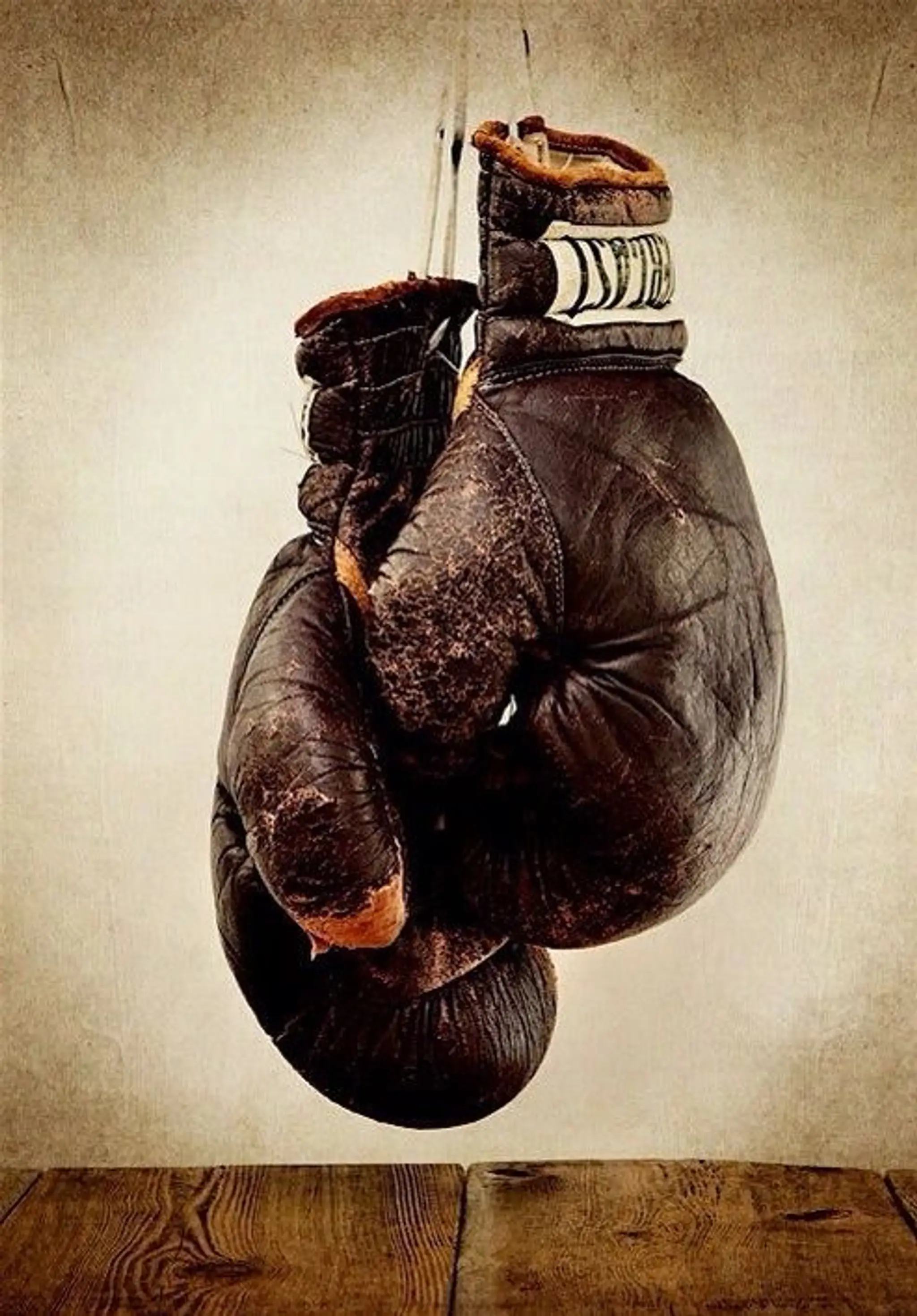 Boxe pessac Alouette