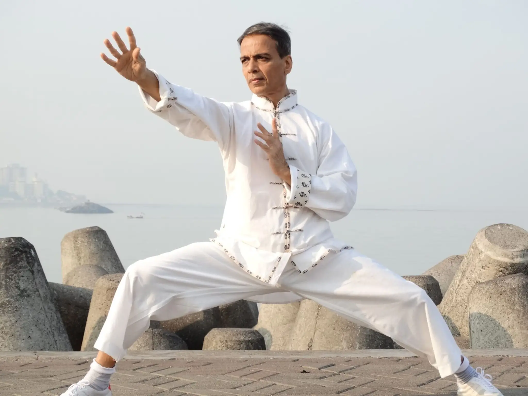 Sensei Sandeep Desai (T'ai Chi Master in India)
