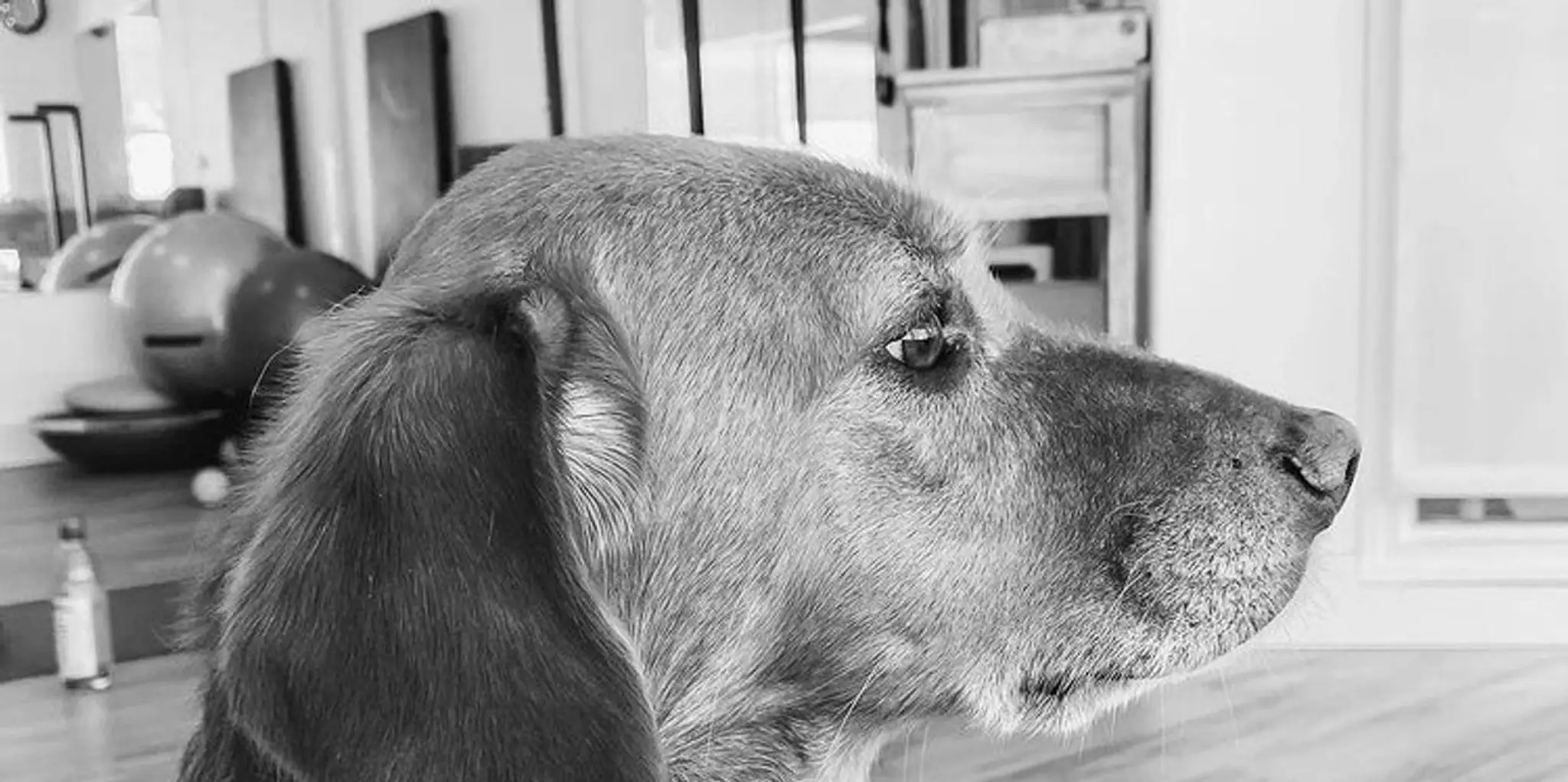 RE-AB Soul to Sole Pilates