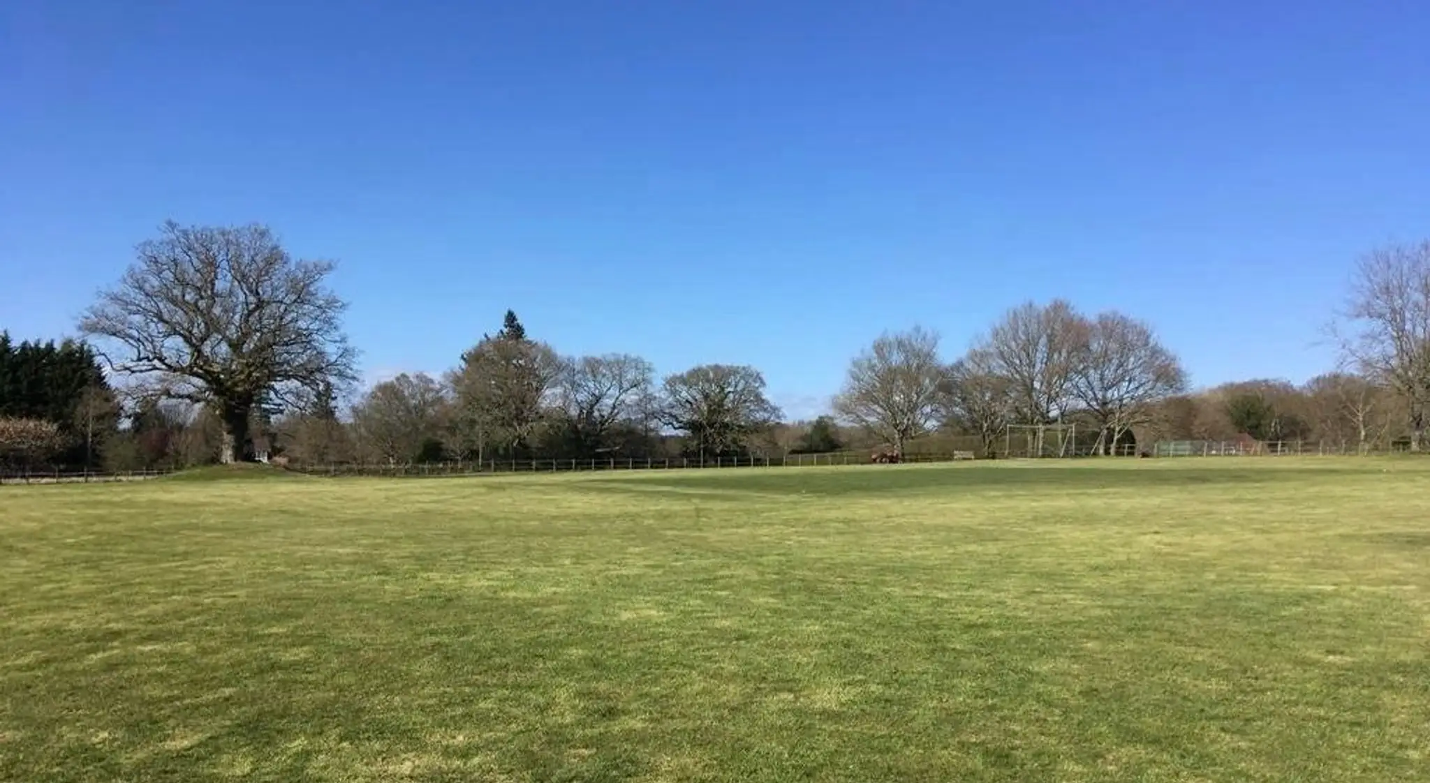 Lynchmere Cricket Club