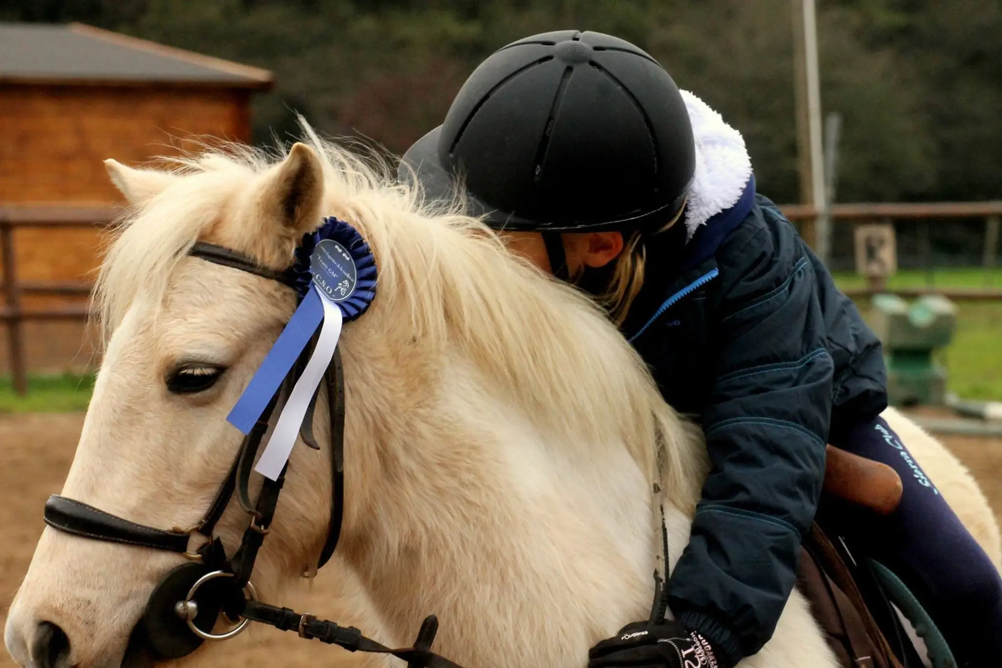 Equestrian Center De La Meilleraie