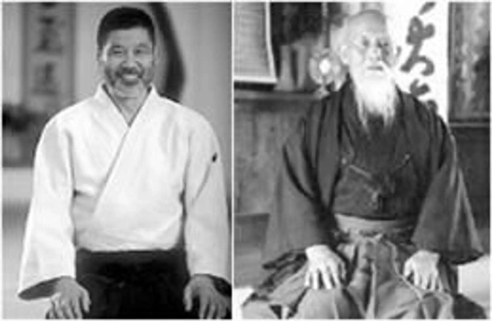 Sydney Aikido Aiki Kai Roseville