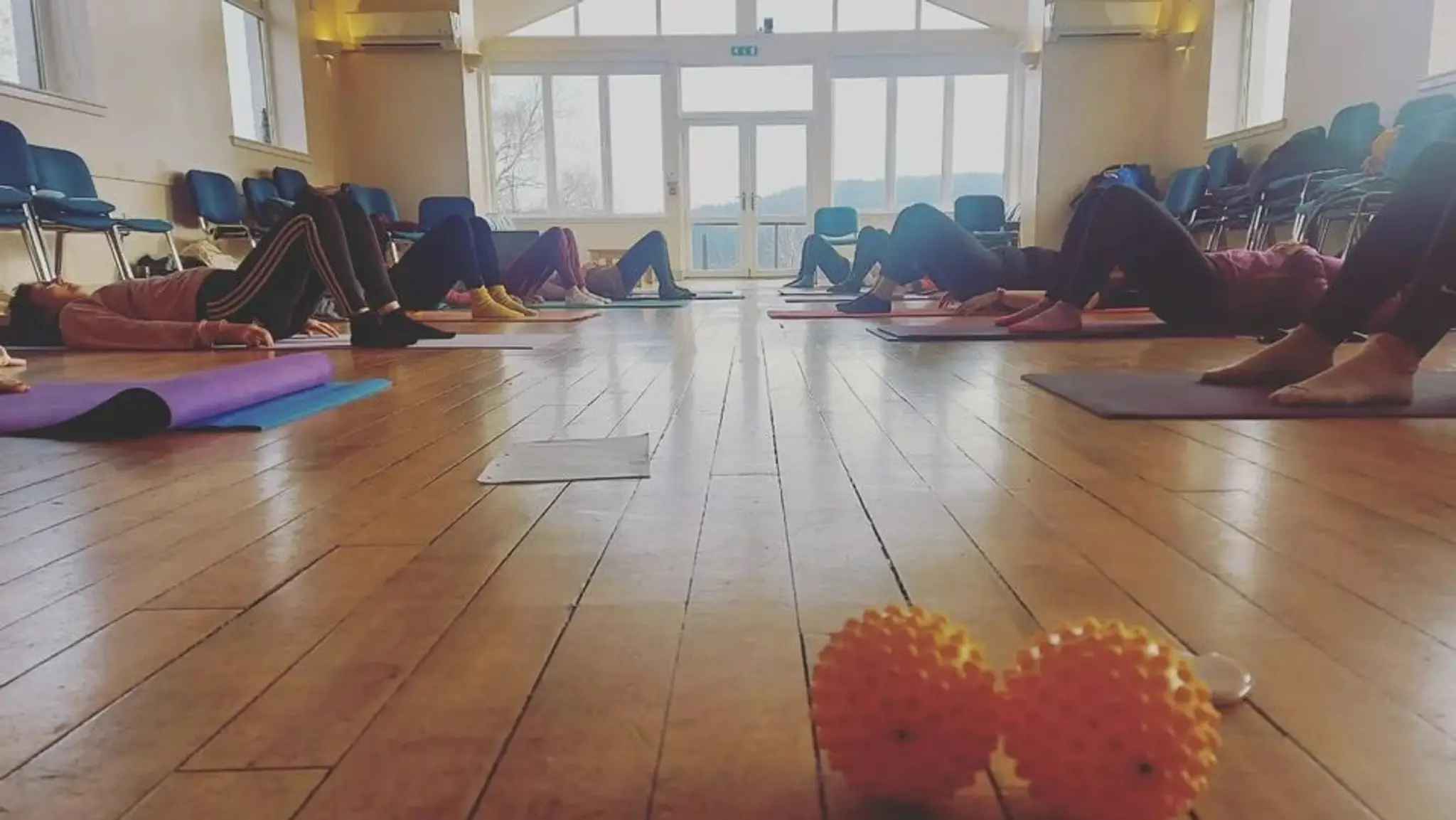 Tall Trees Aberfoyle