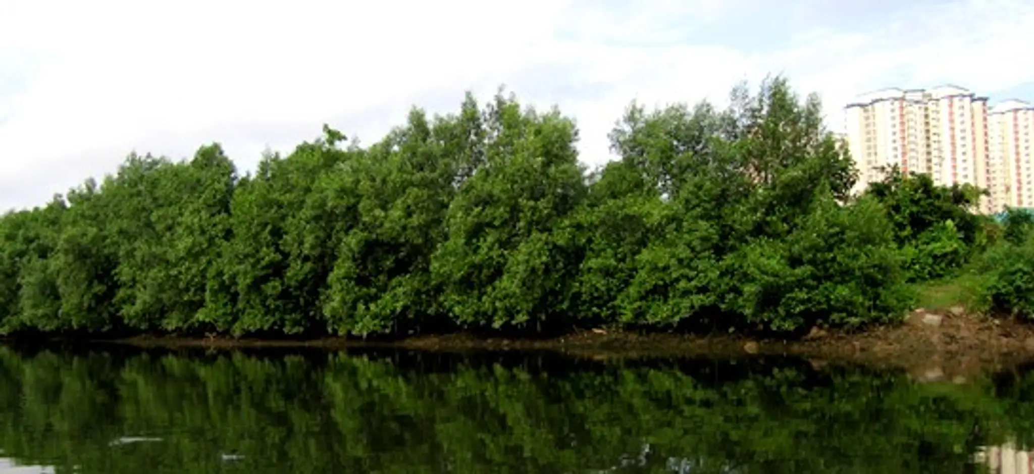 Ketam Mountain Bike Park