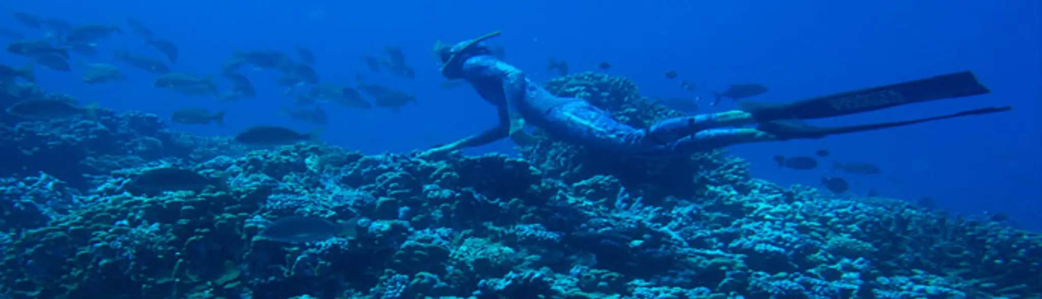 Capvert Club Plongée