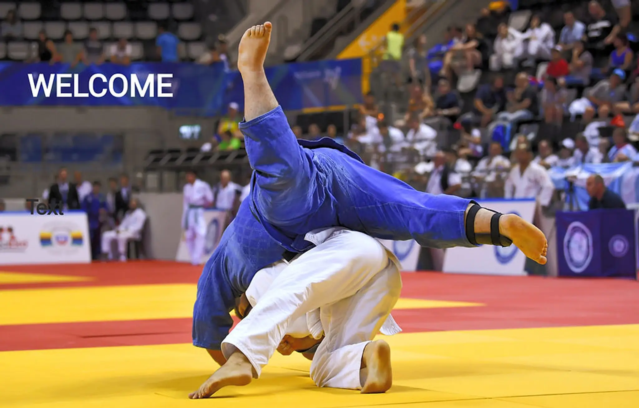 Market Harborough judo club