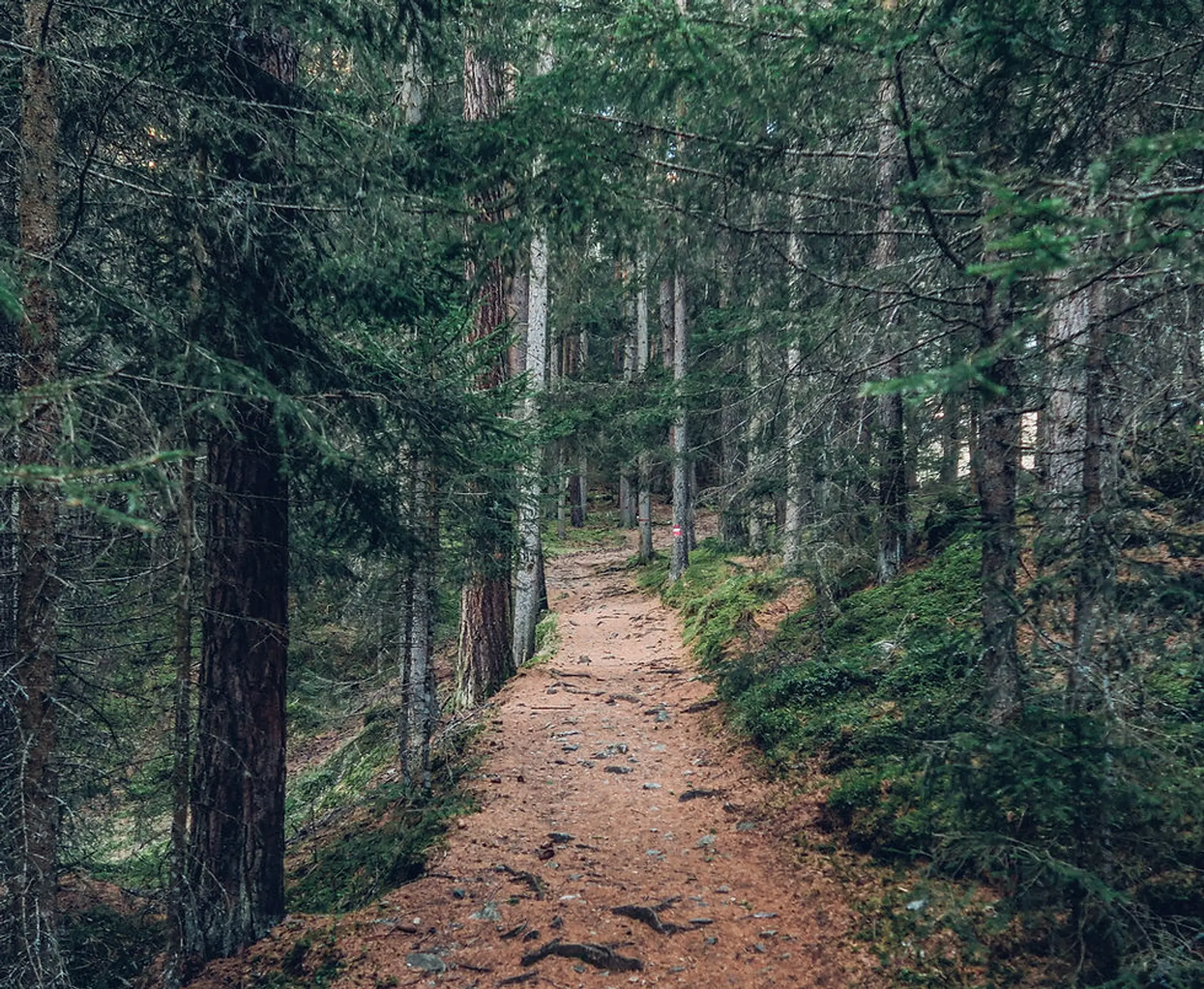 Cycles Customika-bikes