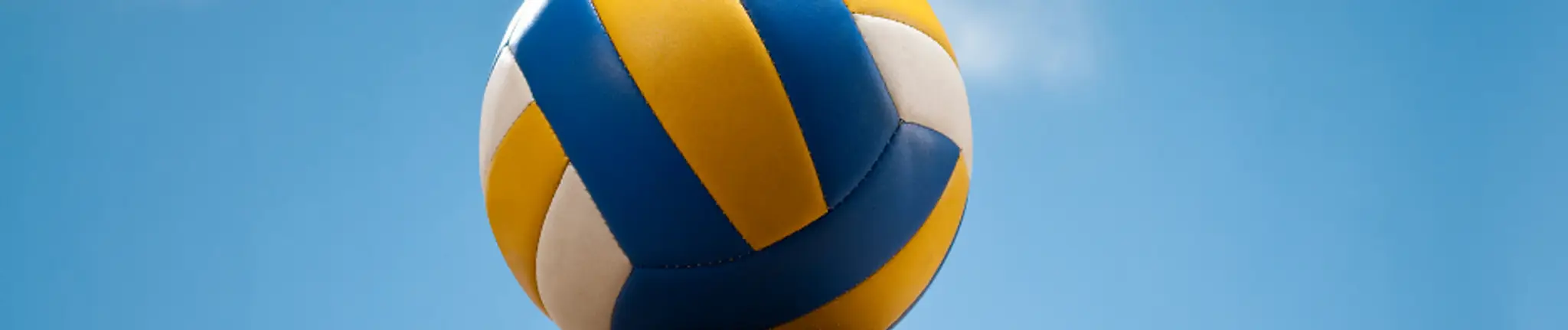 Scenic Acres Beach Volleyball Court