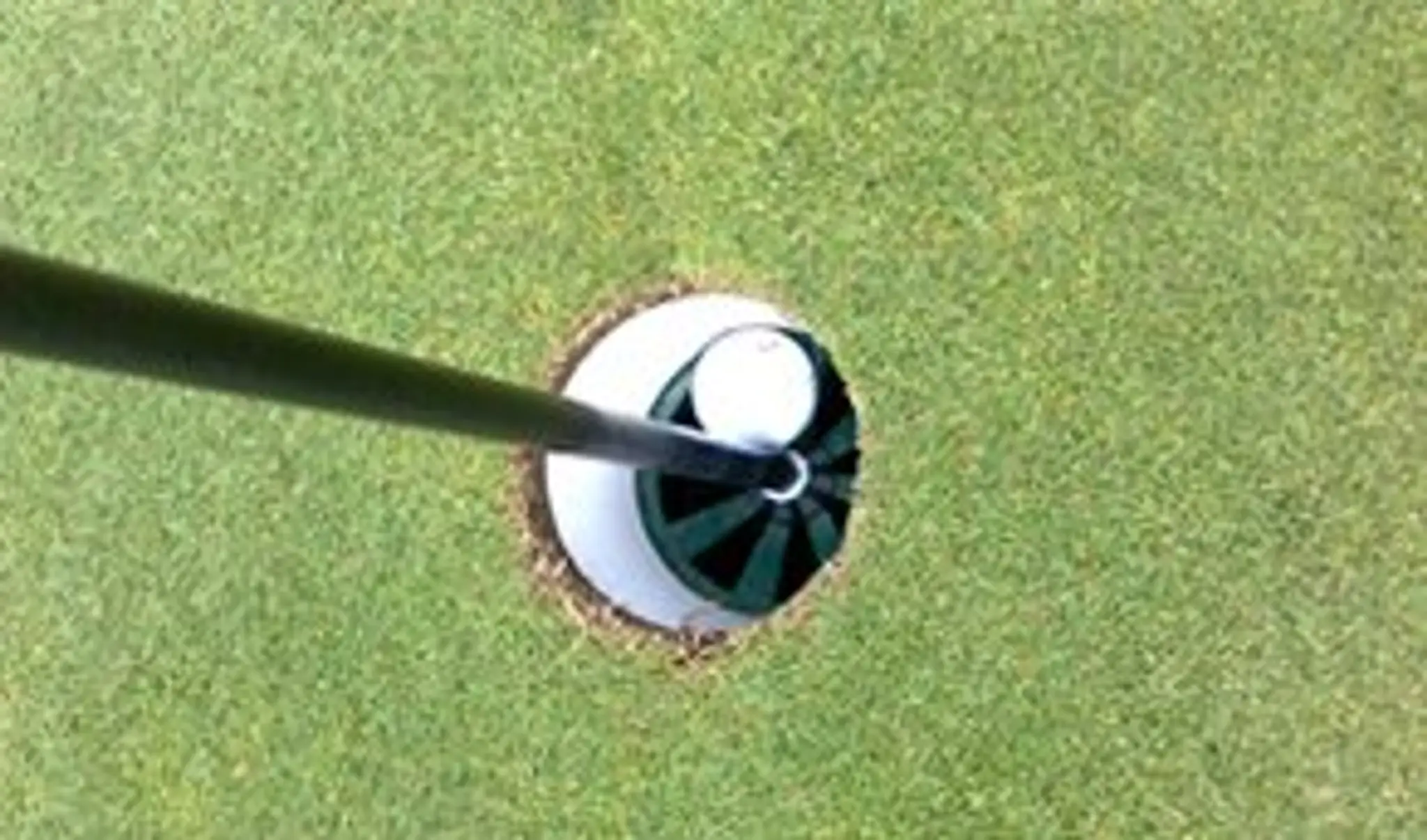 Eli-Kent Golf Society