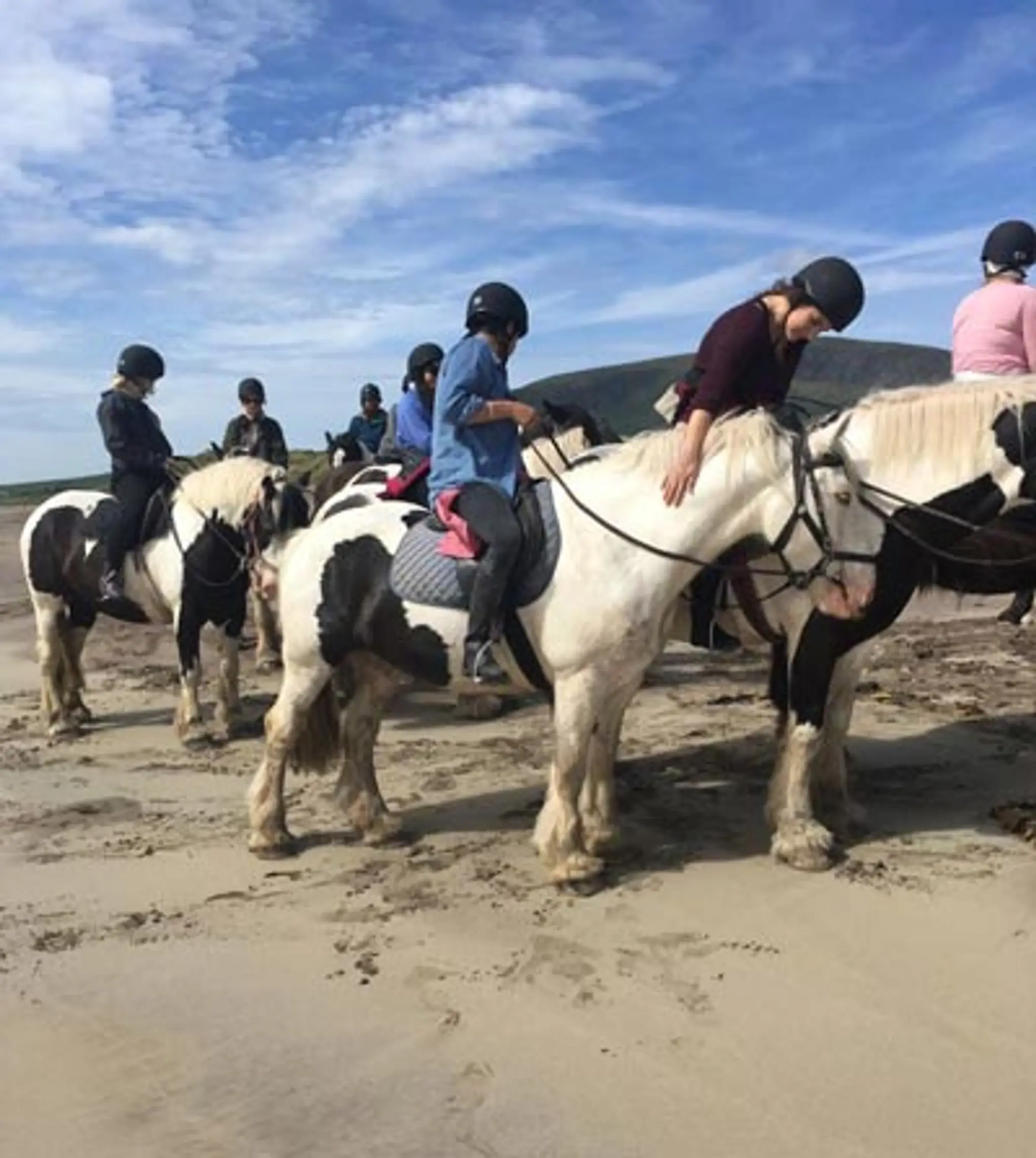 Longs Horse Riding