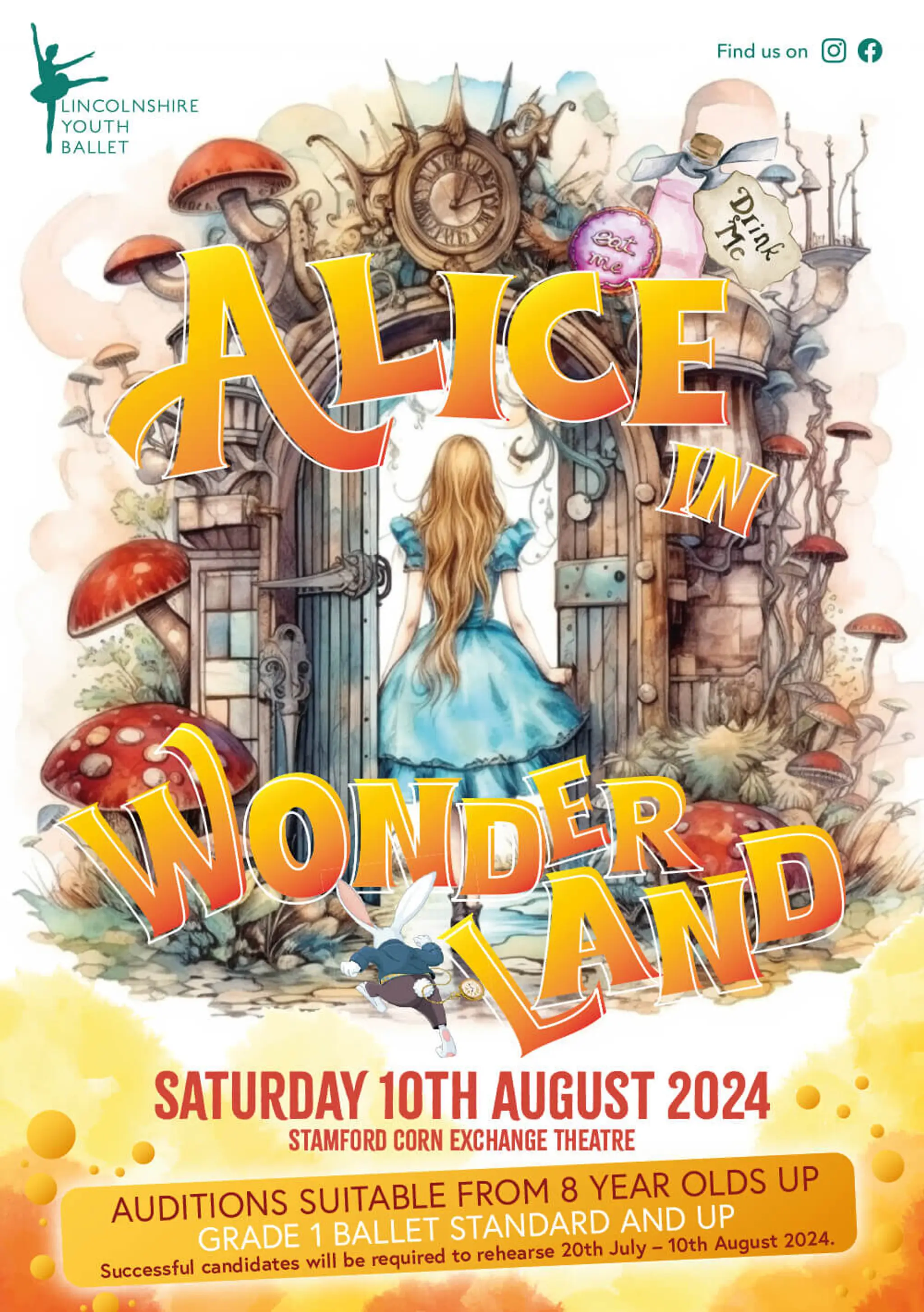 Lincolnshire Youth ballet Ltd