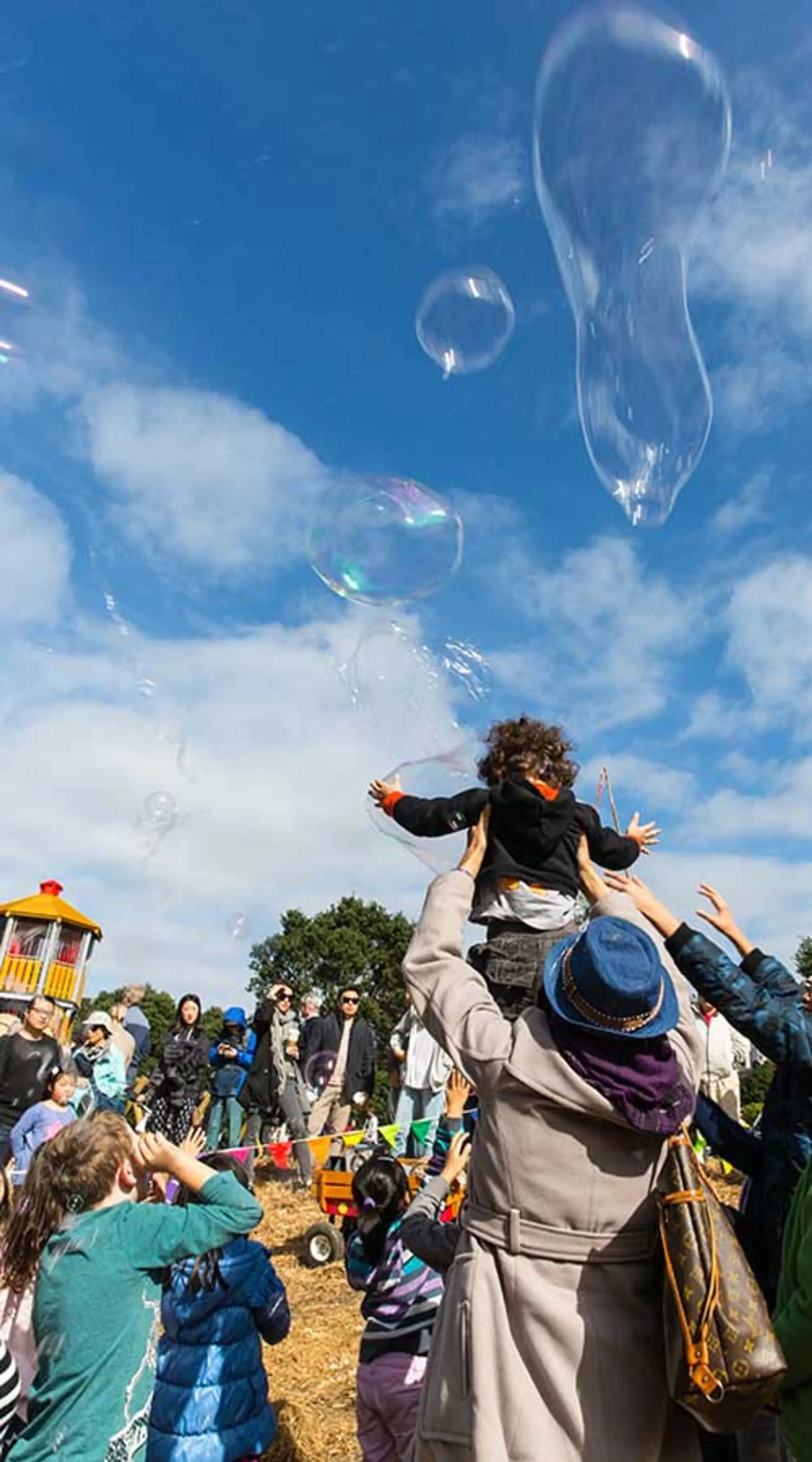 Totara Park Mountain Bike Track