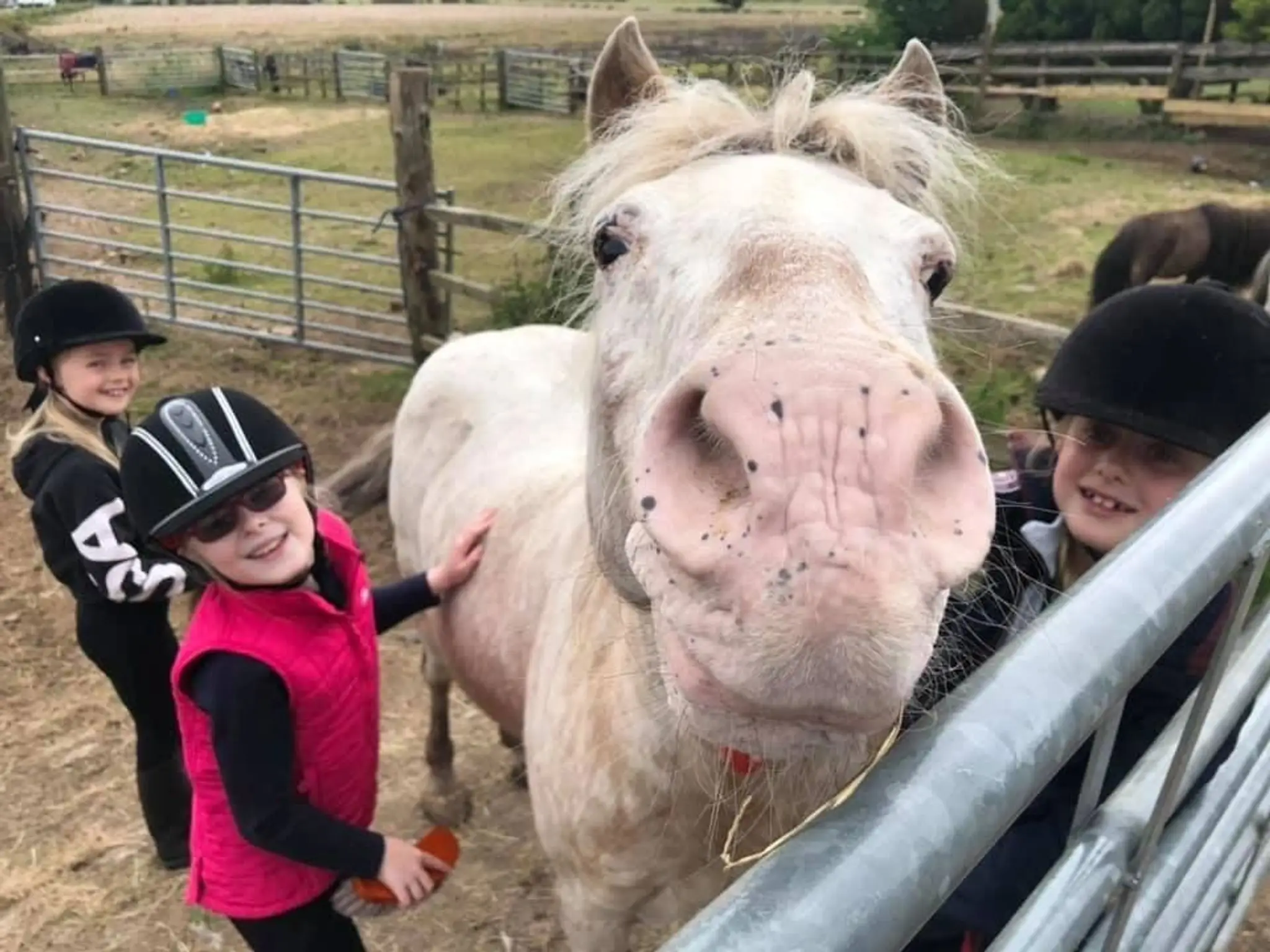 Hooves & Paws Equestrian Centre