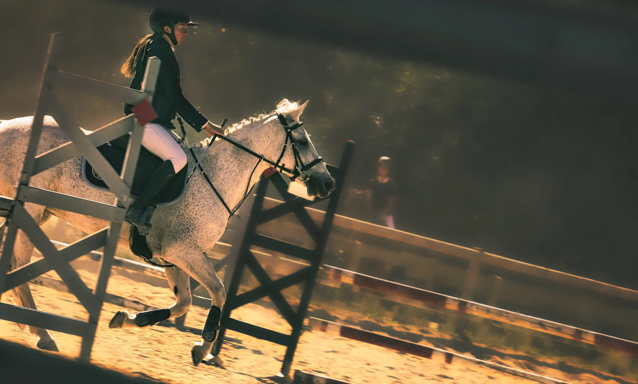 Kerguélen Equitation