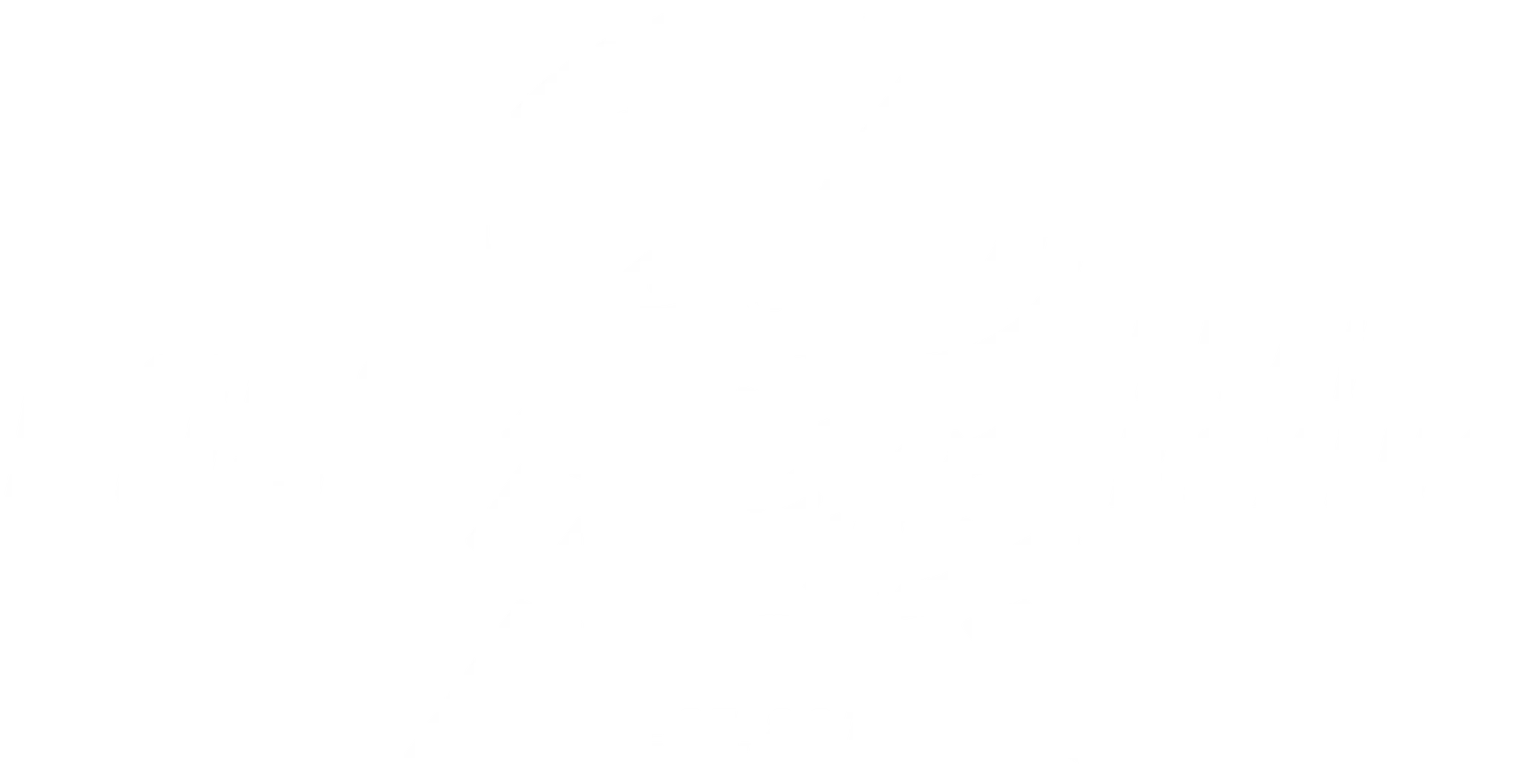 Boss Thai Boxing & Fitness