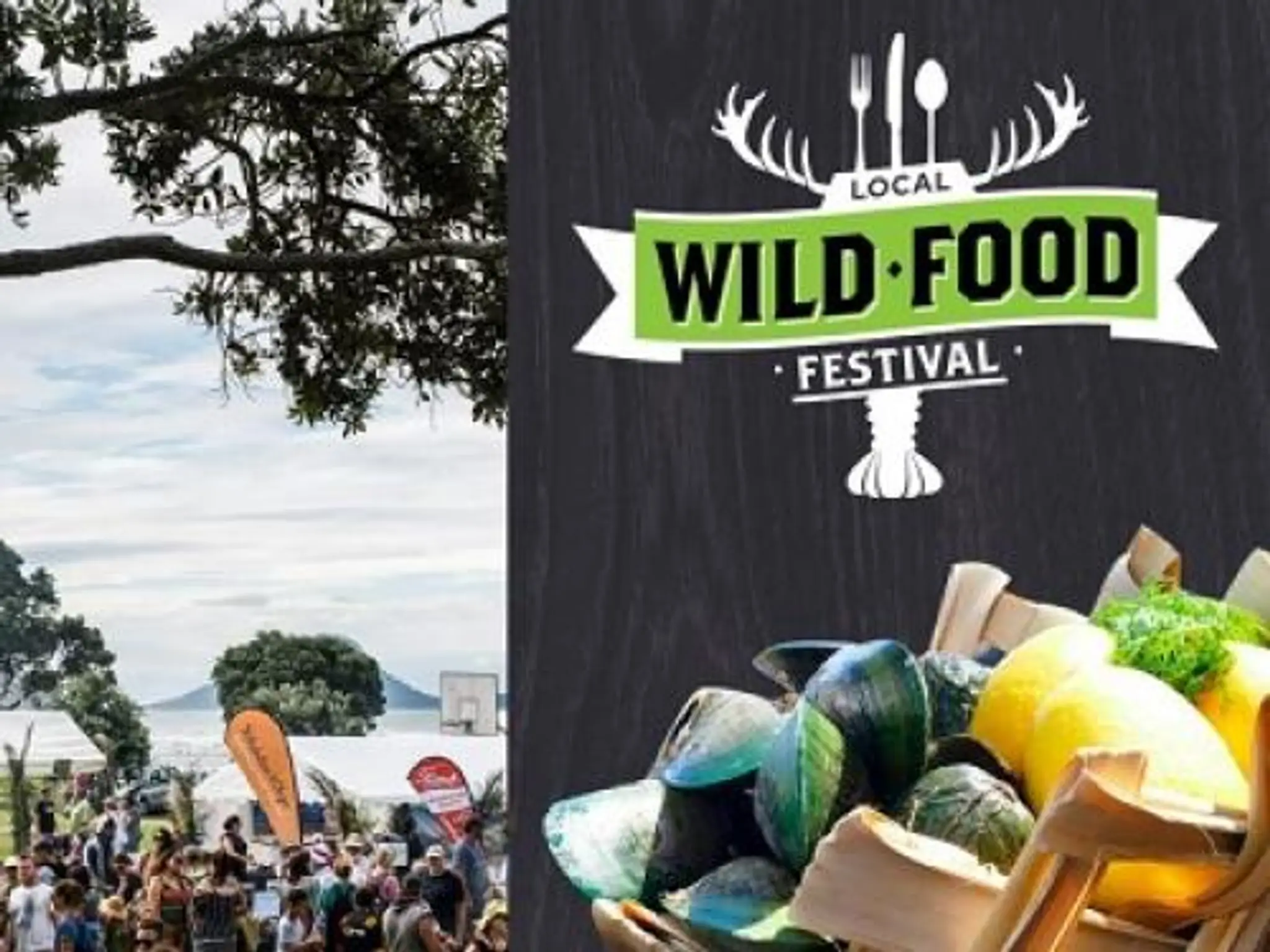 Nikau Valley Horse Treks