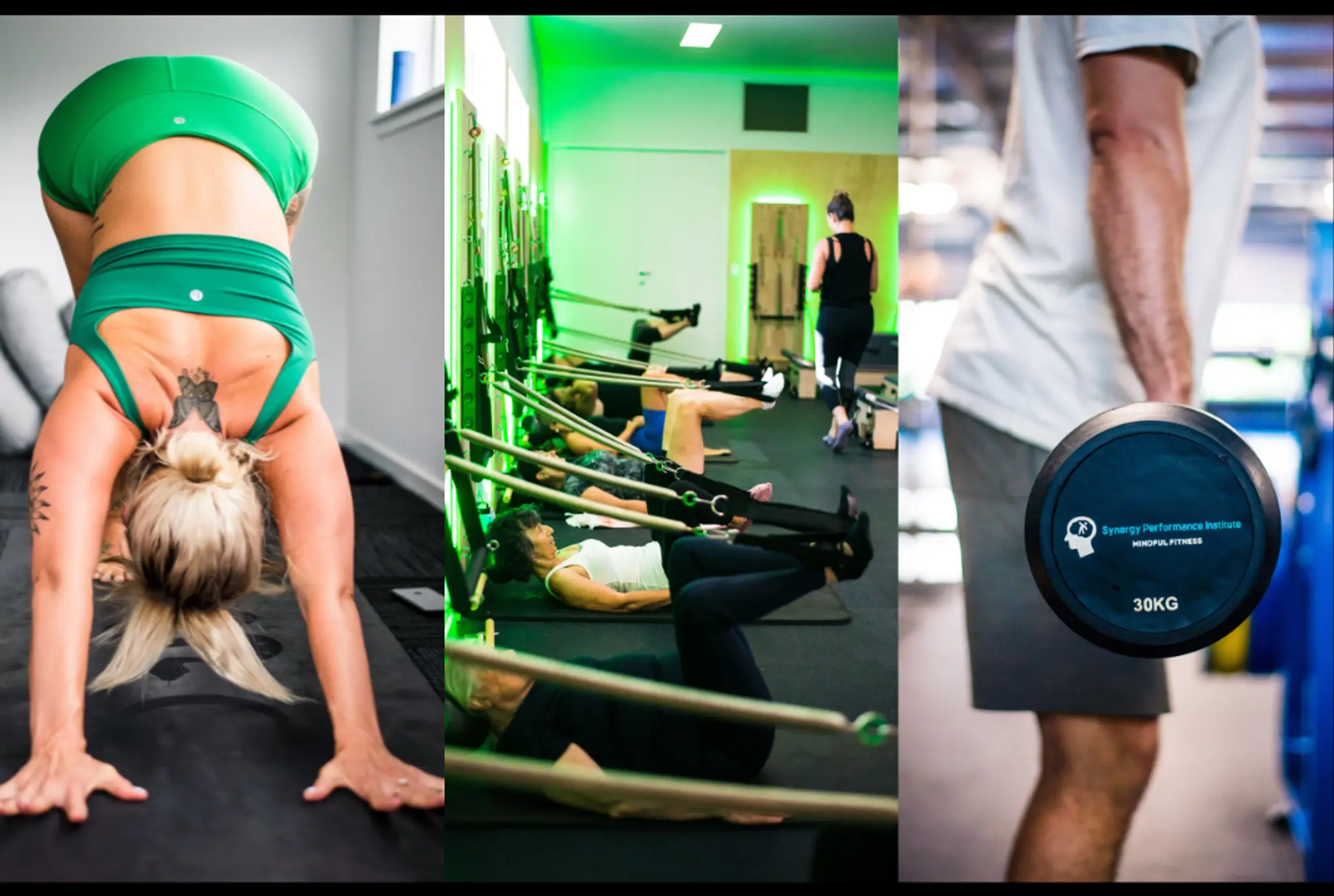 Synergy Performance Institute