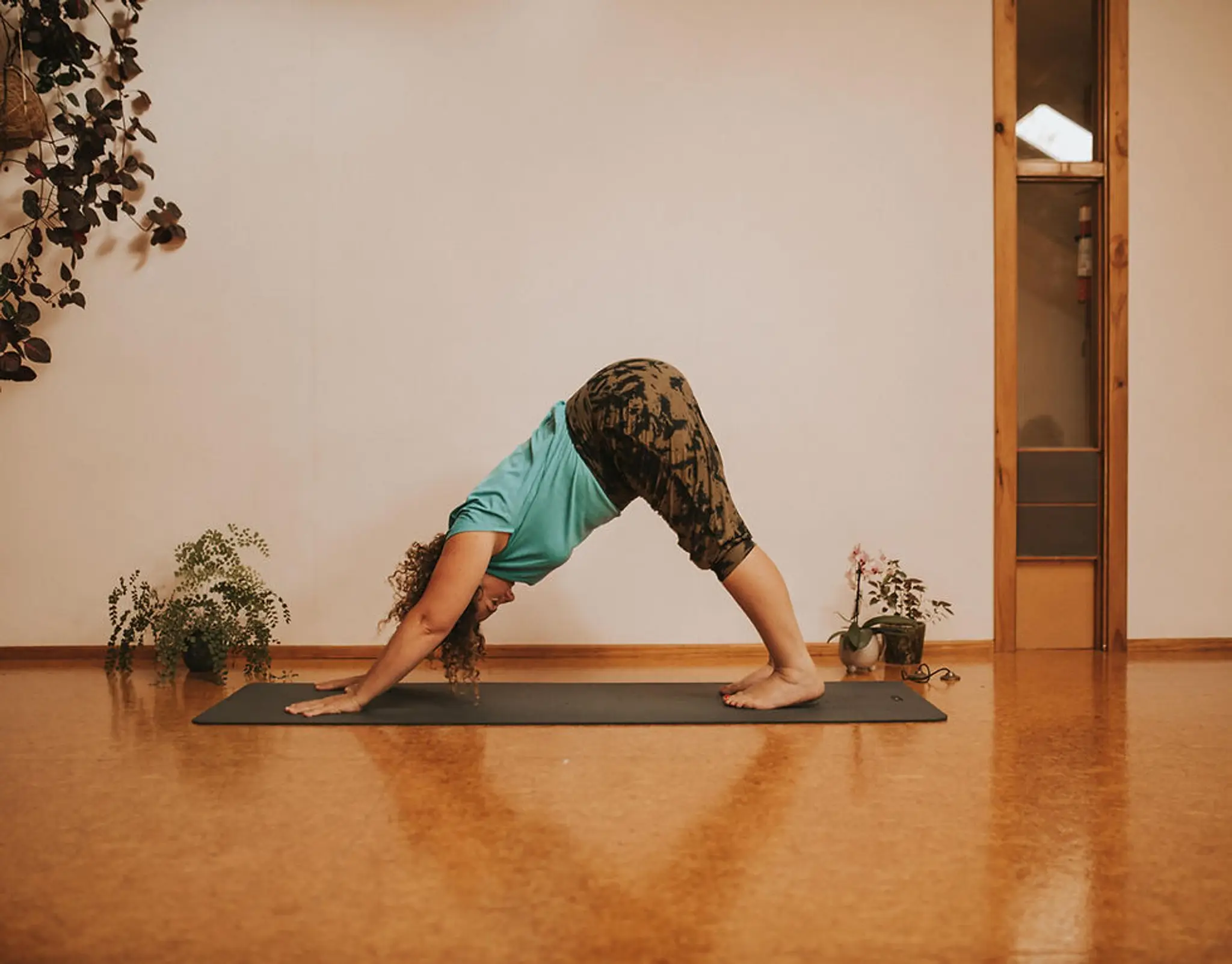 Diane Davies Massage & Aromatherapy