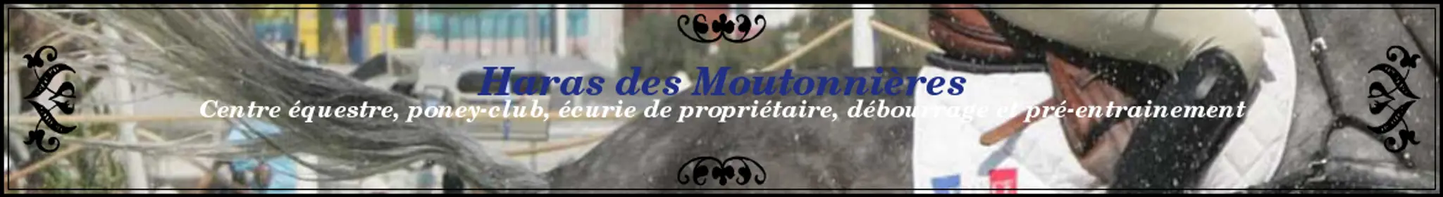 Of Stud Moutonnières