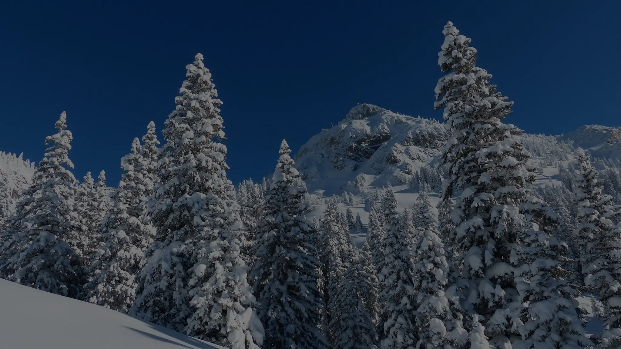 Ski resort Vernár - Studničky
