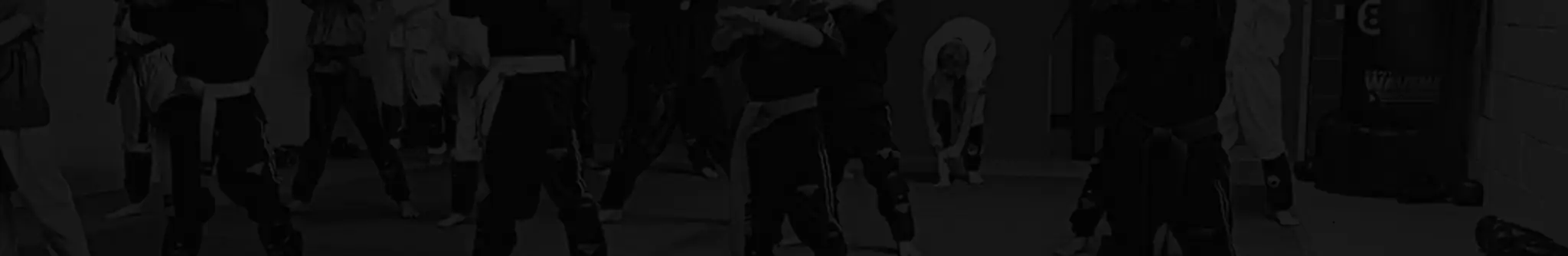 Toshi Ryu Martial Arts