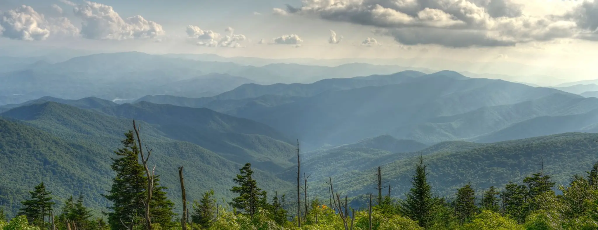 Knockout Taekwondo Academy