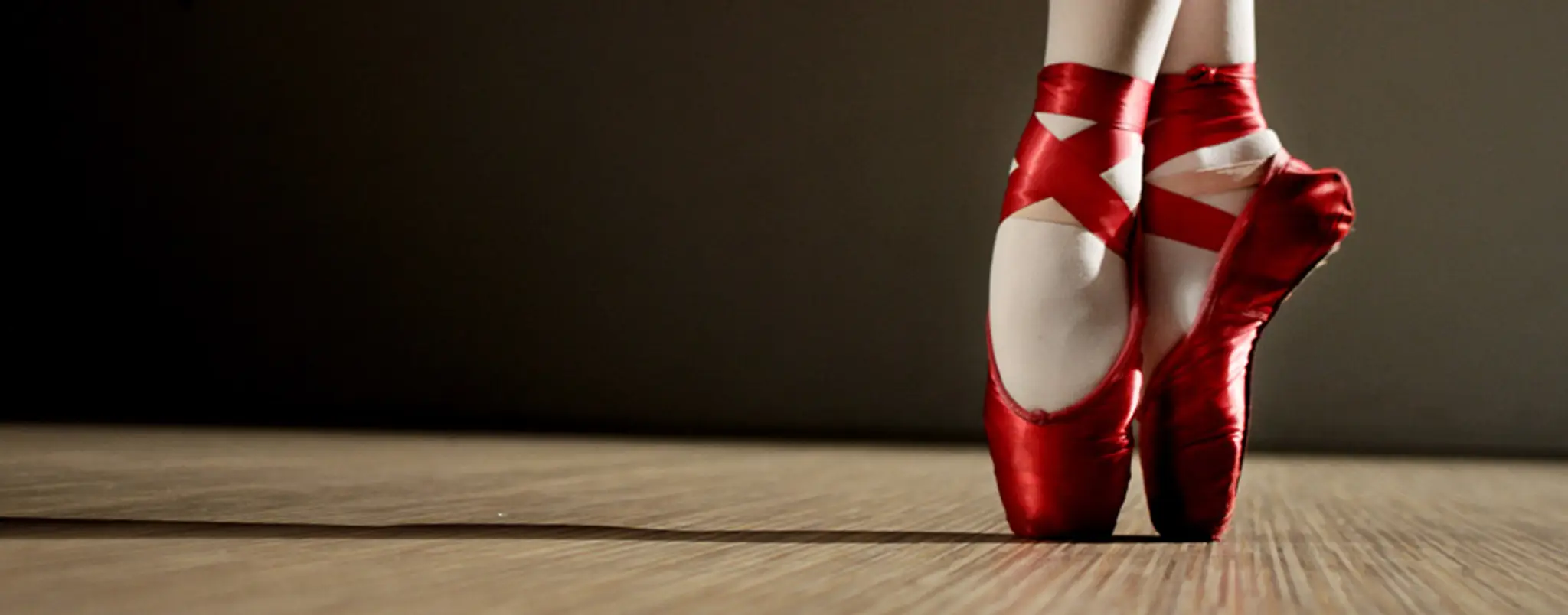 The Dance Studio at absolute fitness