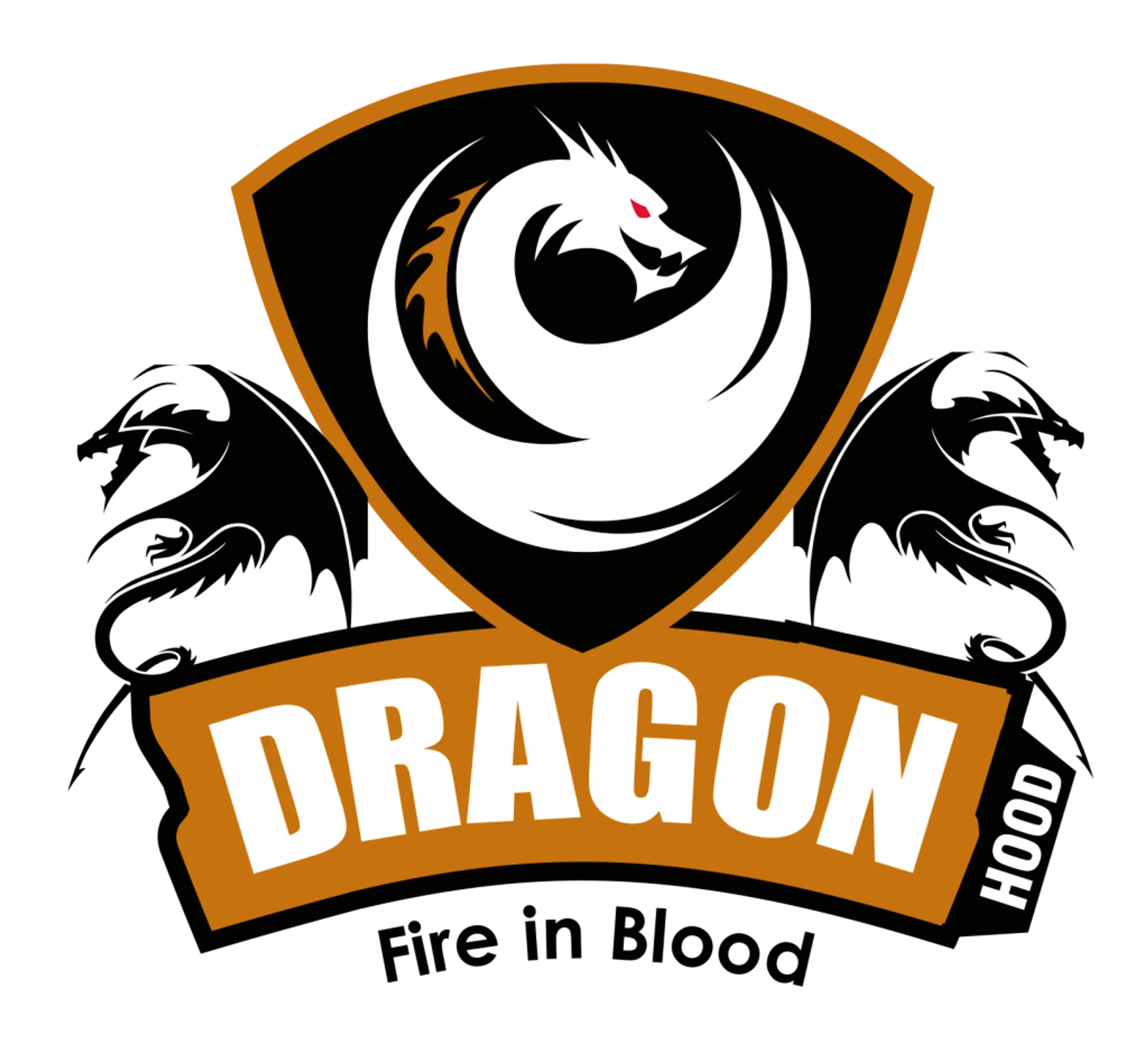 Pick Skills Basketball Academy Dwarka