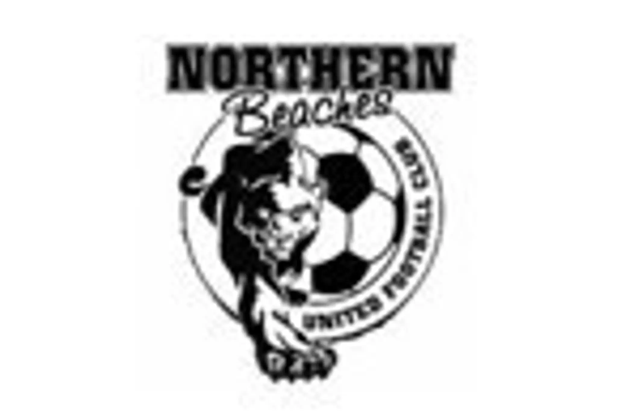 Northern Beaches United Football Club