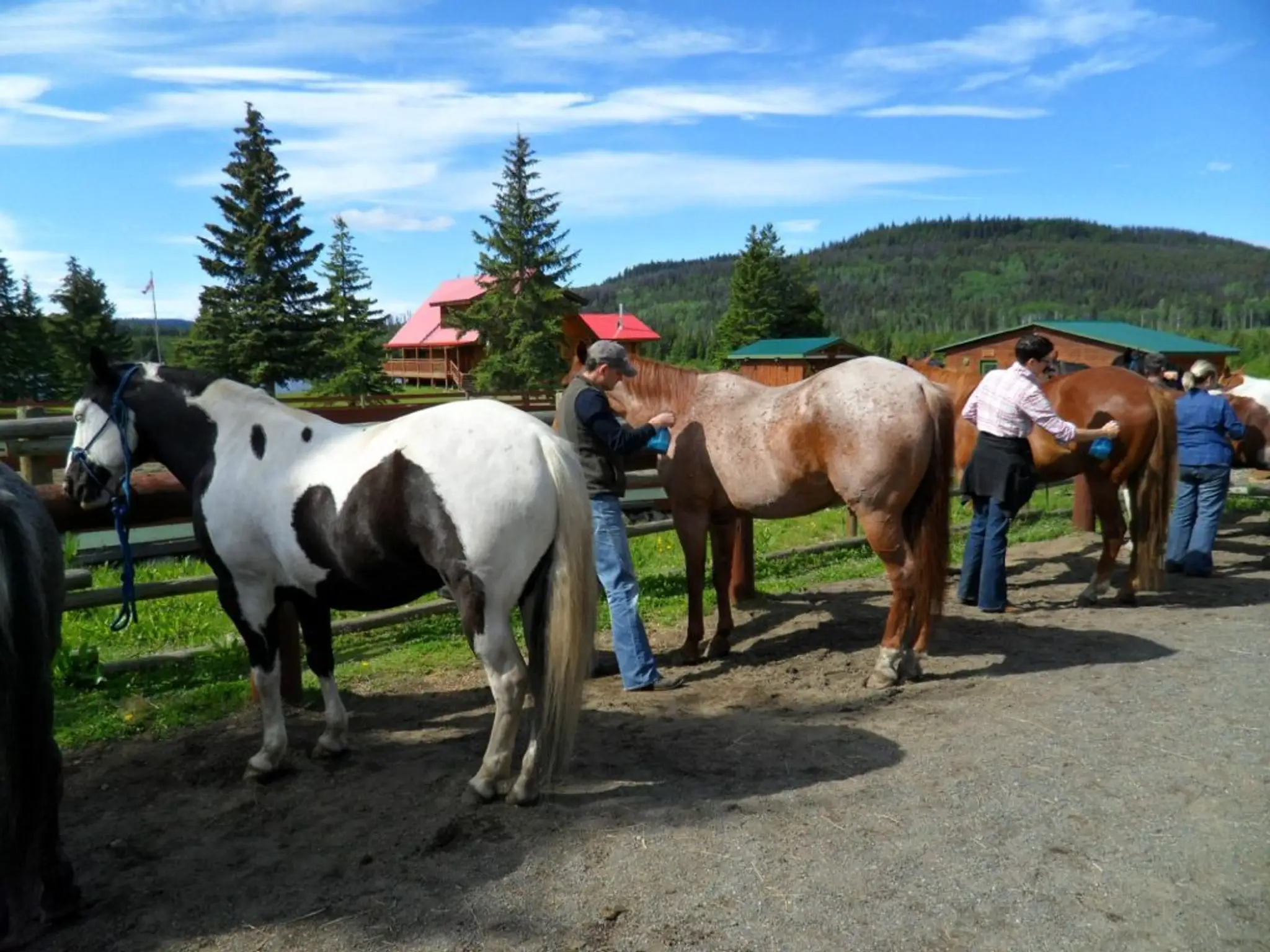 Free Rein Guest Ranch