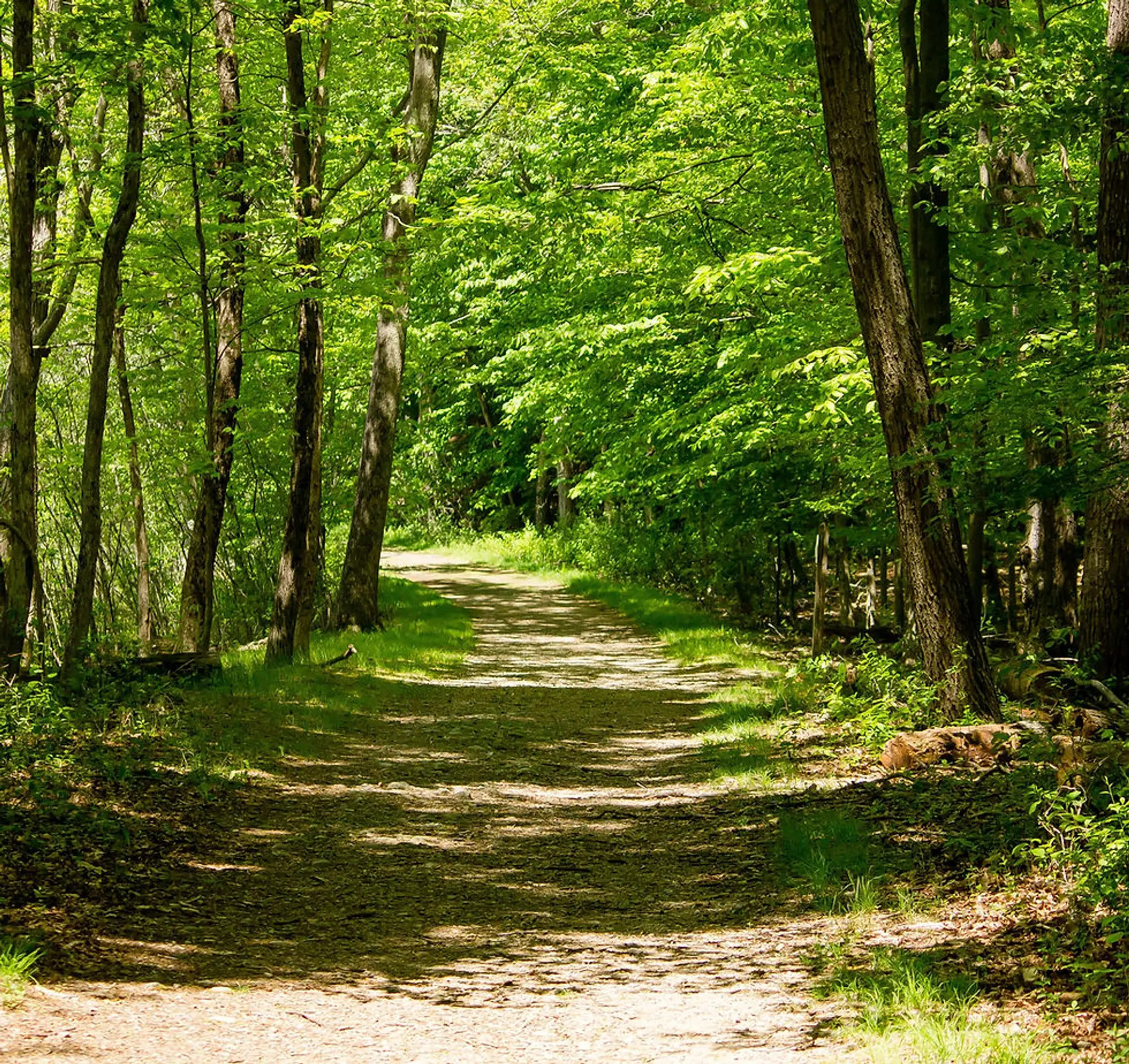 La Ferme Equestrian De La Forêt