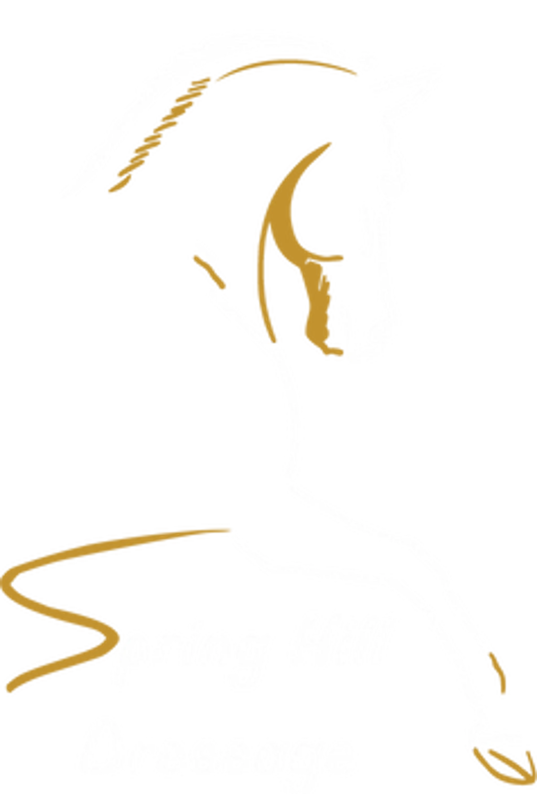 Spring Hill Dressage