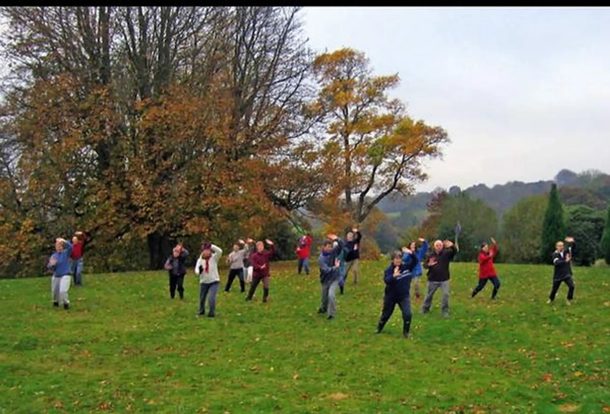 Fountain of Zen Tai Chi & Qigong