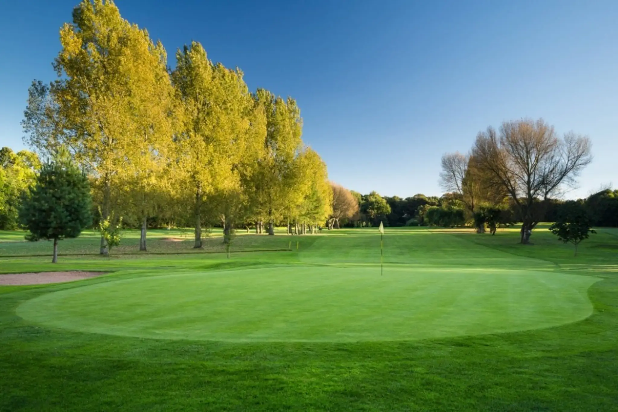 Rotherham Golf Club Ltd