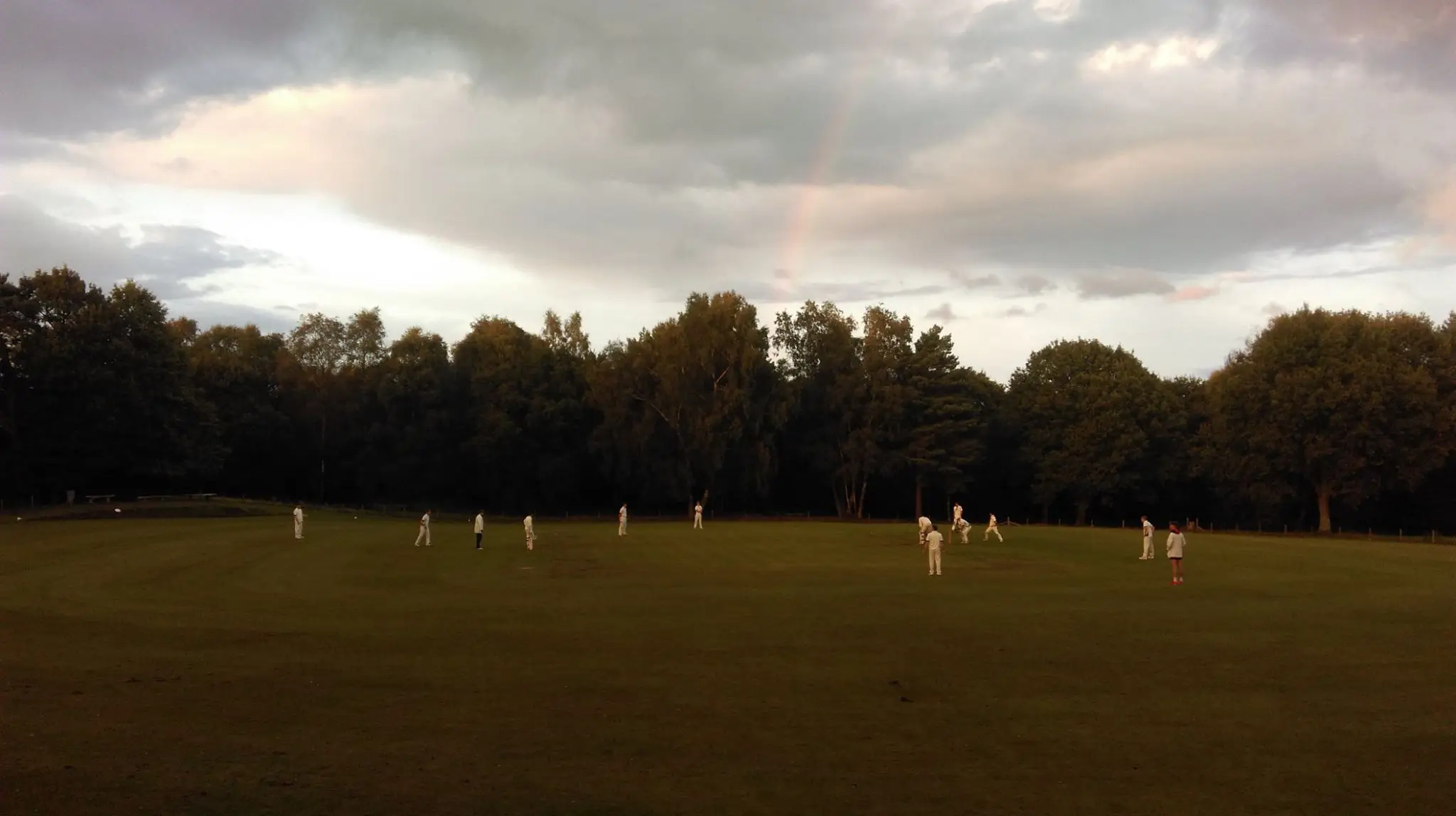 Holmbury St Mary Cricket Club